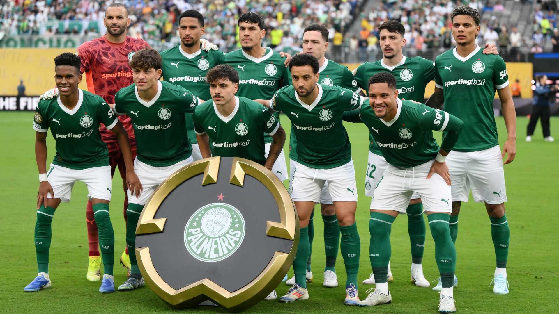 palmeiras 