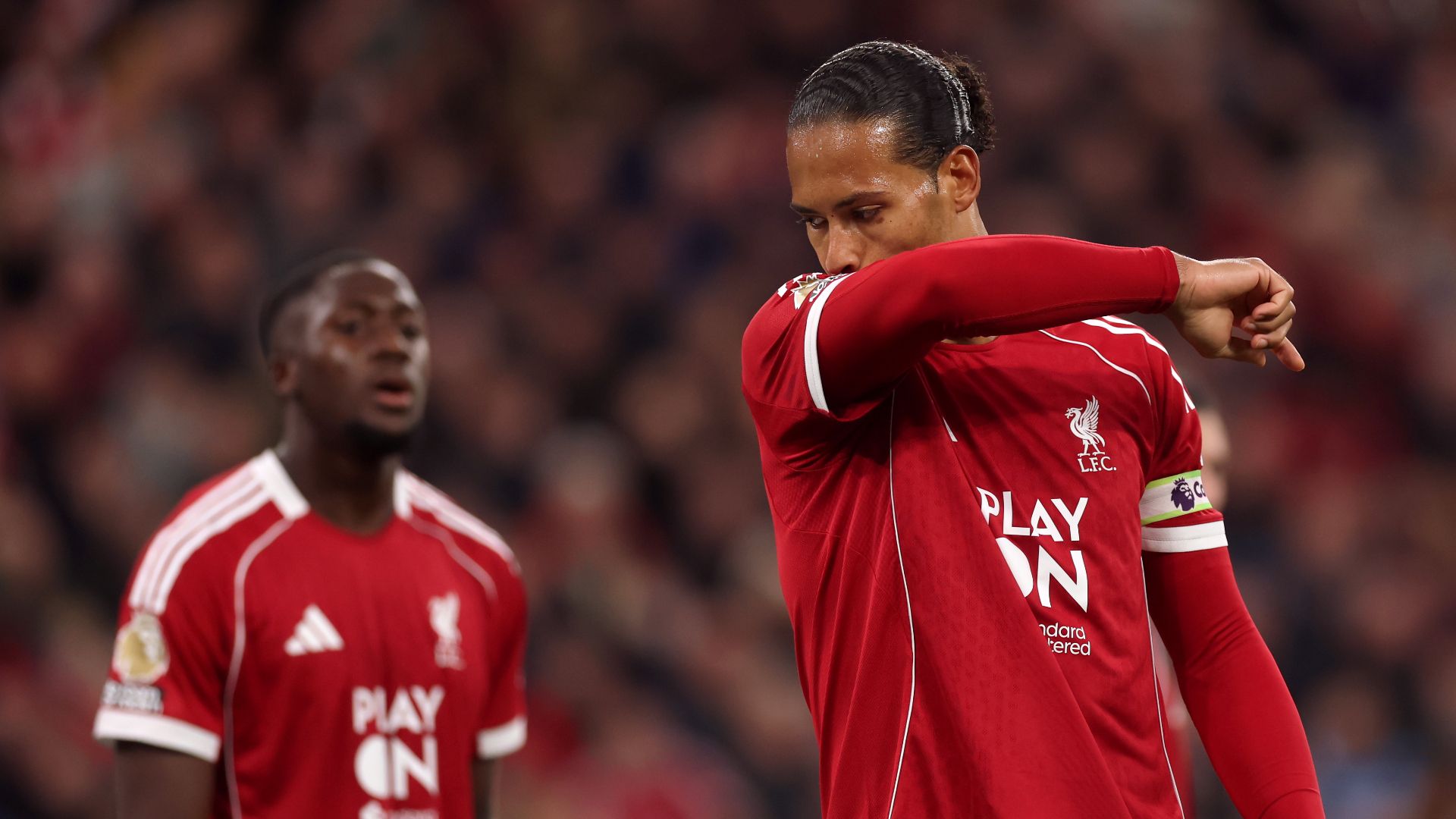 liverpool van dijk