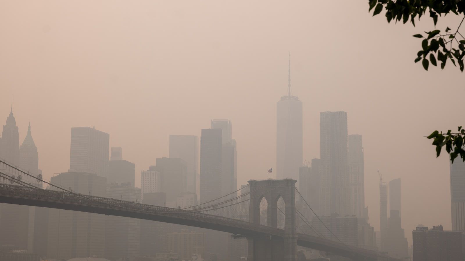new york smog