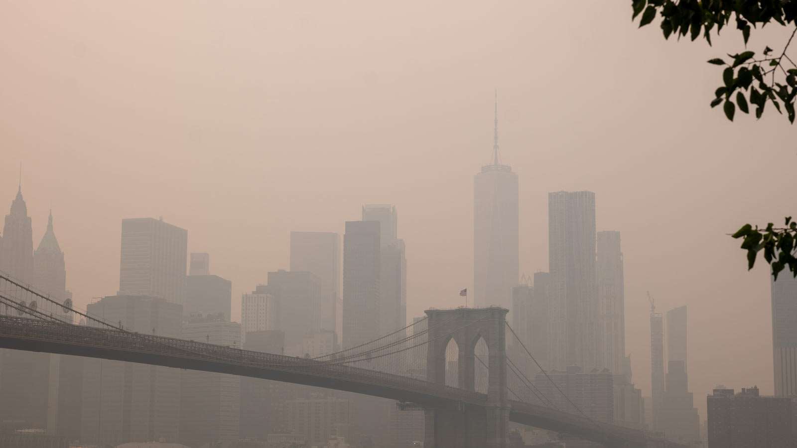 new york smog