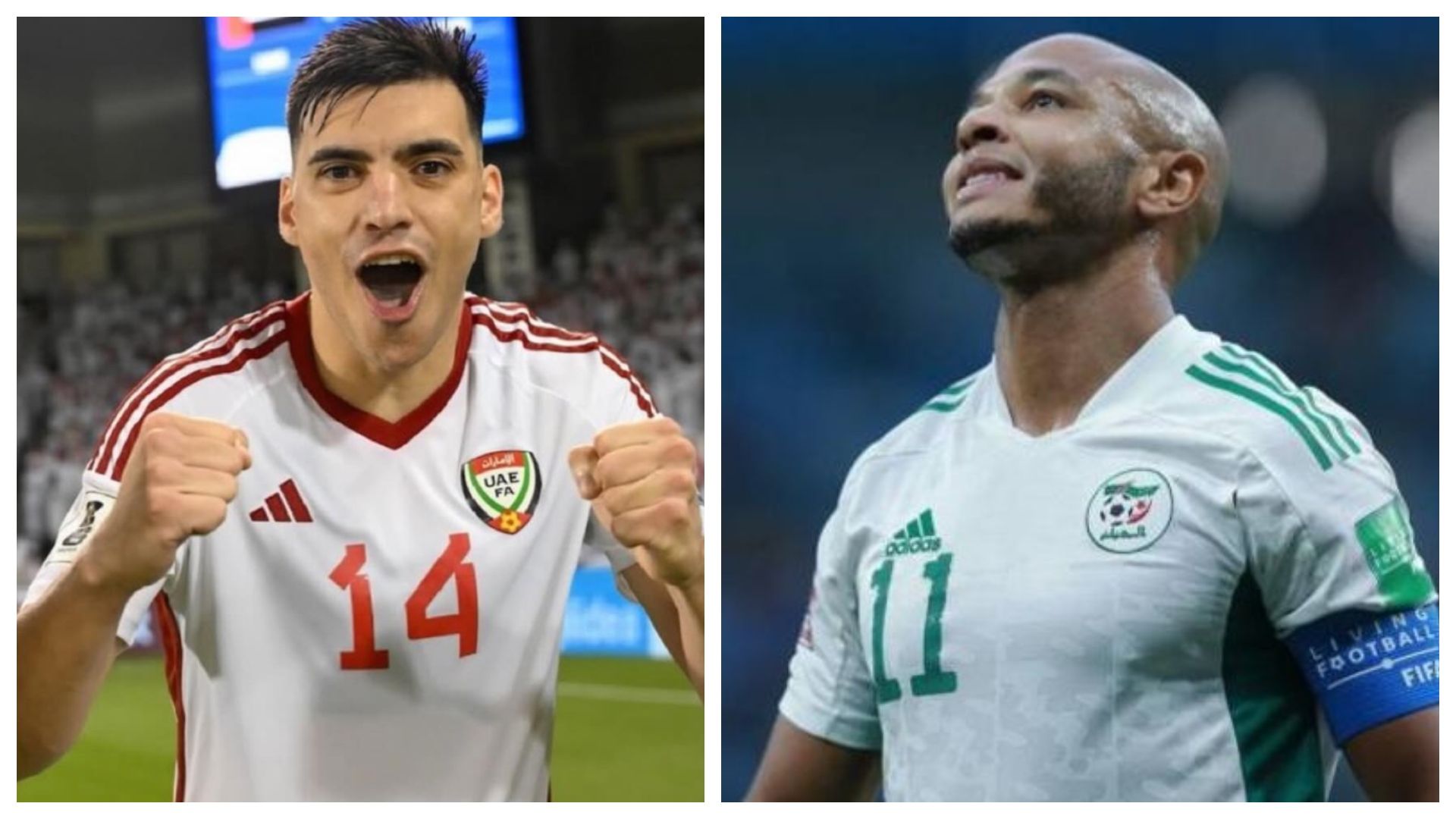 algeria-uae