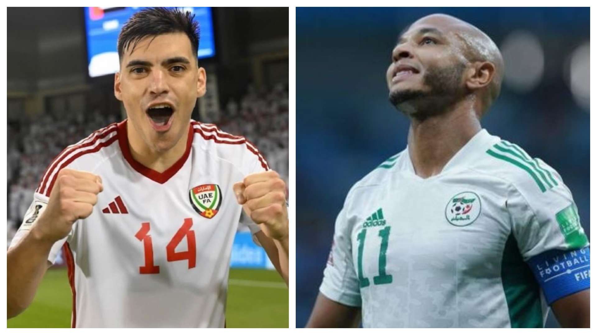 algeria-uae