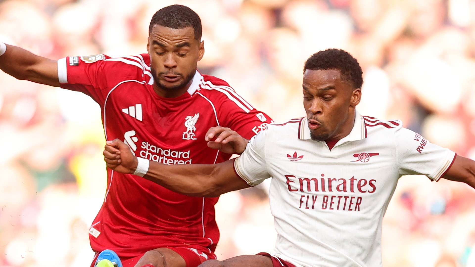 Cody Gakpo Jurrien Timber