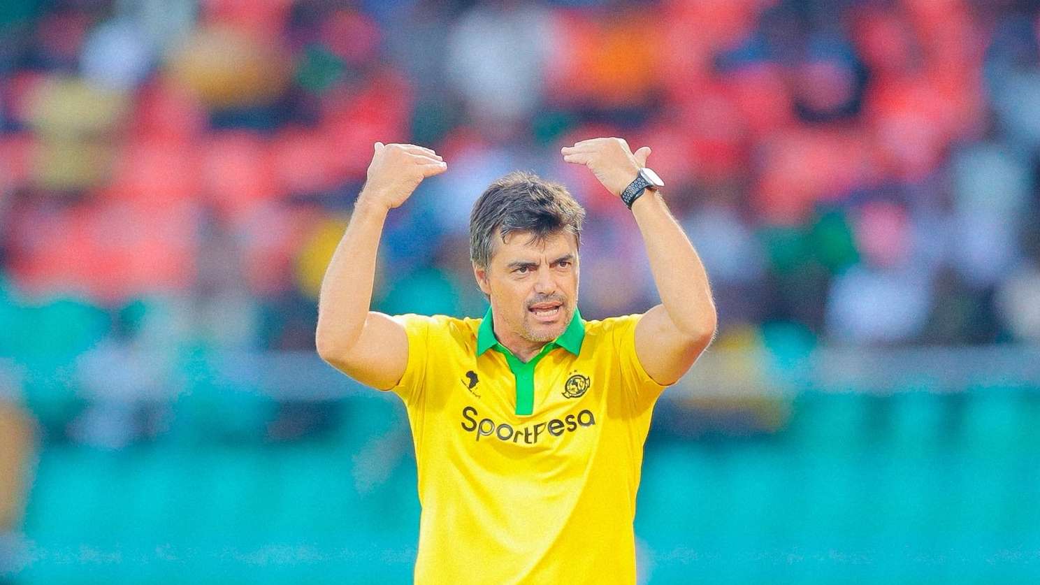 Pedro Goncalves