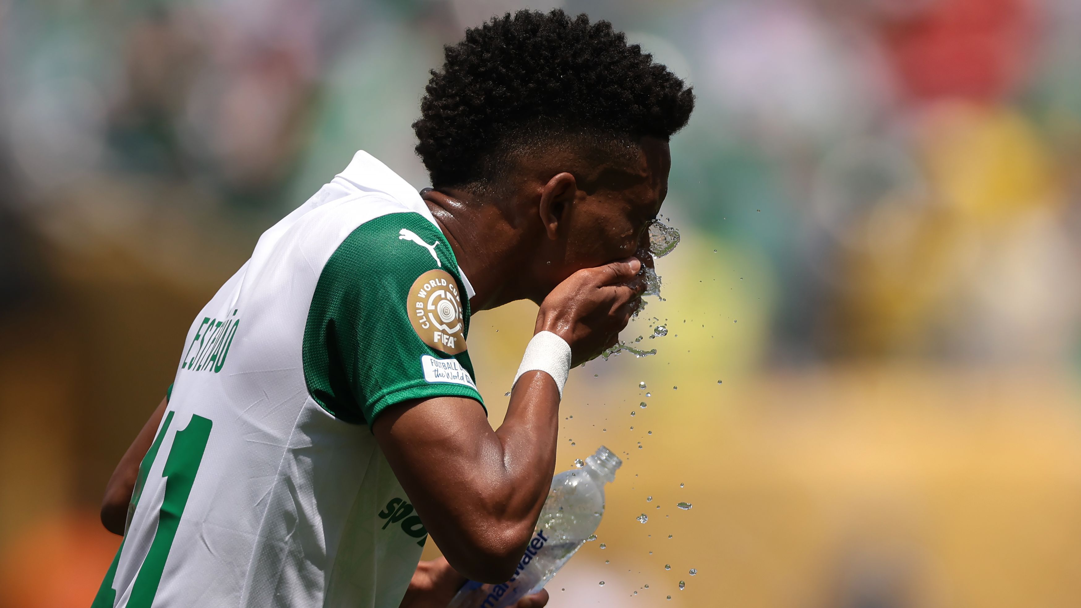 Estevao Palmeiras CWC