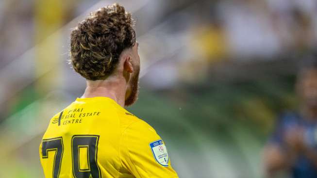 بيدرو مالهيرو