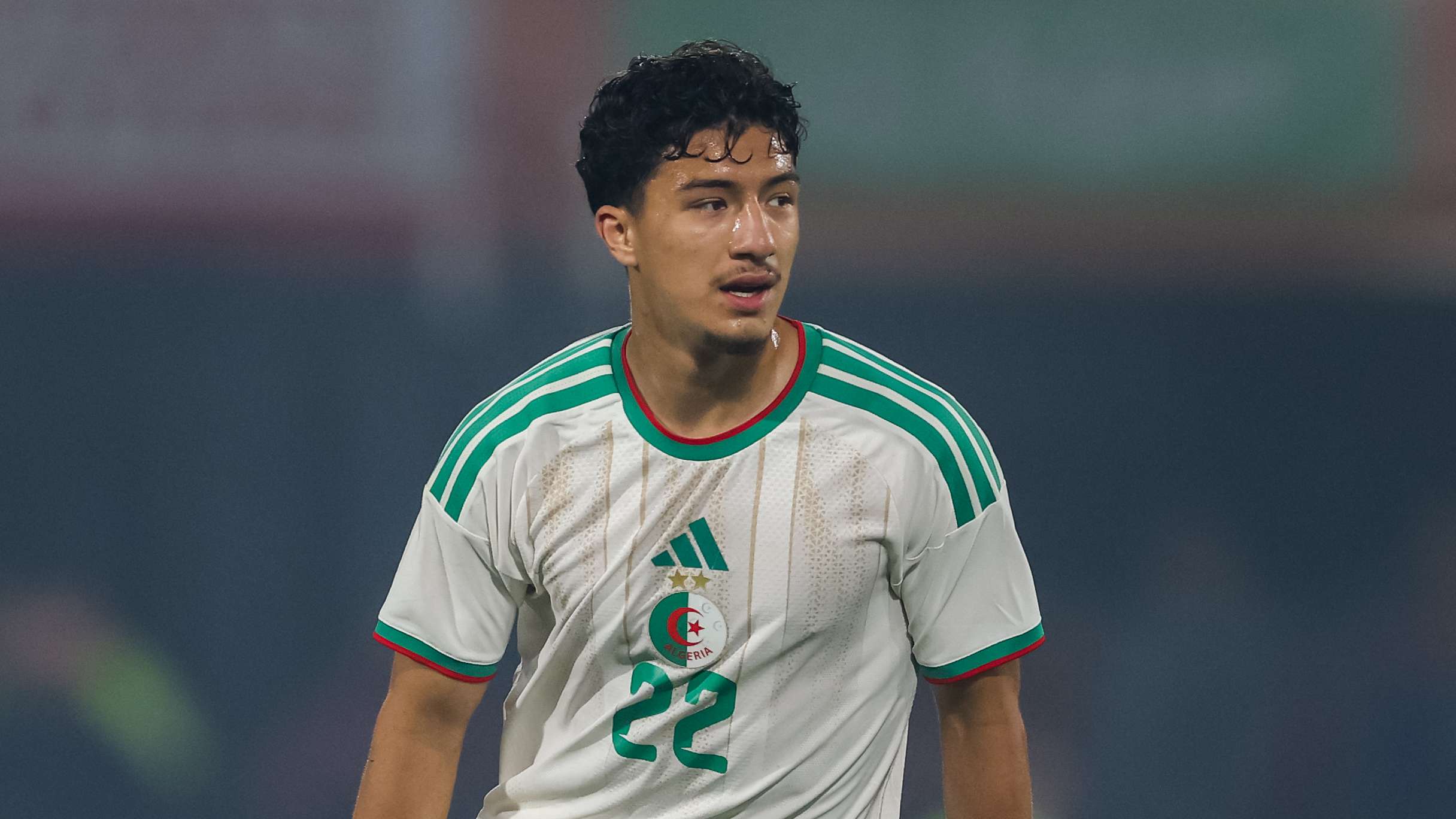 Ibrahim Maza Algeria 2026