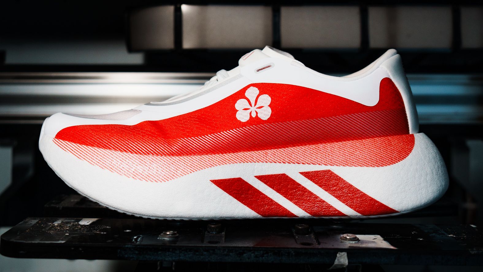 أديداس تحتفي بشجرة الشعلة في دبي عبر إصدار حذاء Hyperboost بتصميم حصري