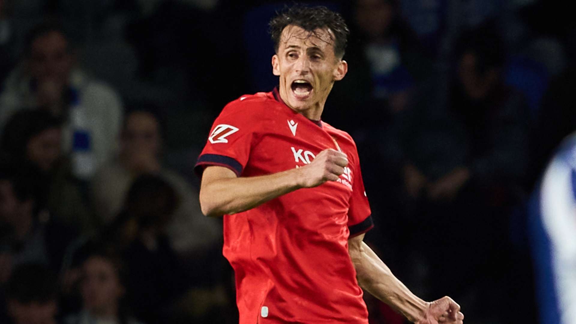 Budimir Osasuna