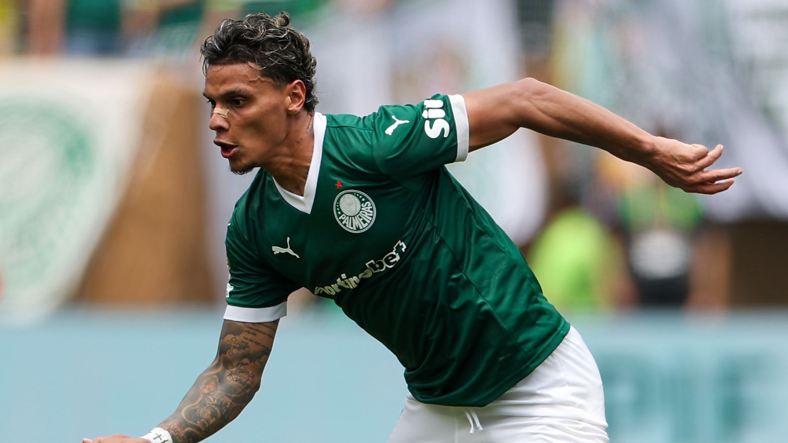 Richard Rios Palmeiras