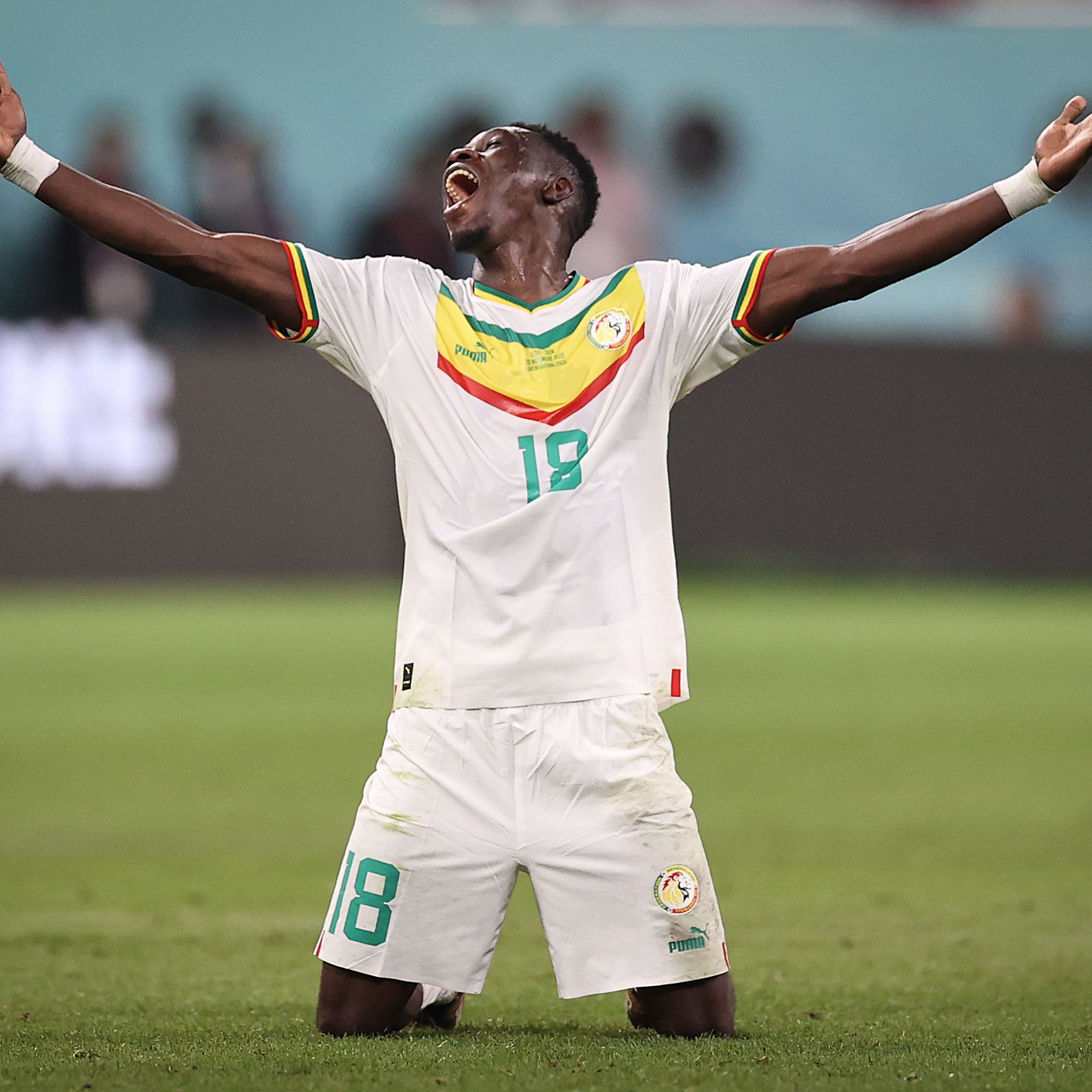 Ecuador v Senegal: Group A - FIFA World Cup Qatar 2022