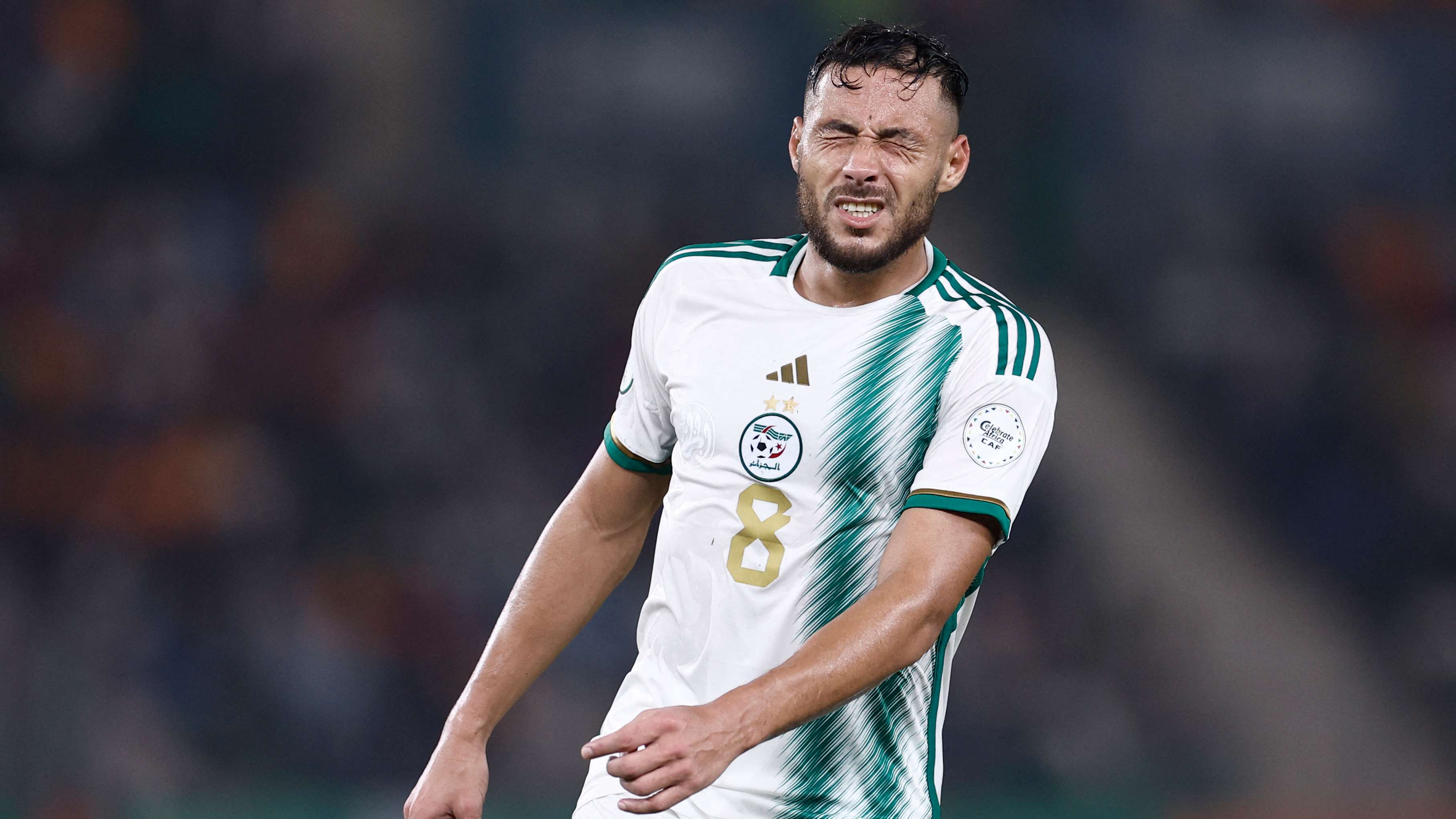 FBL-CAN-2024-ALG-ANG