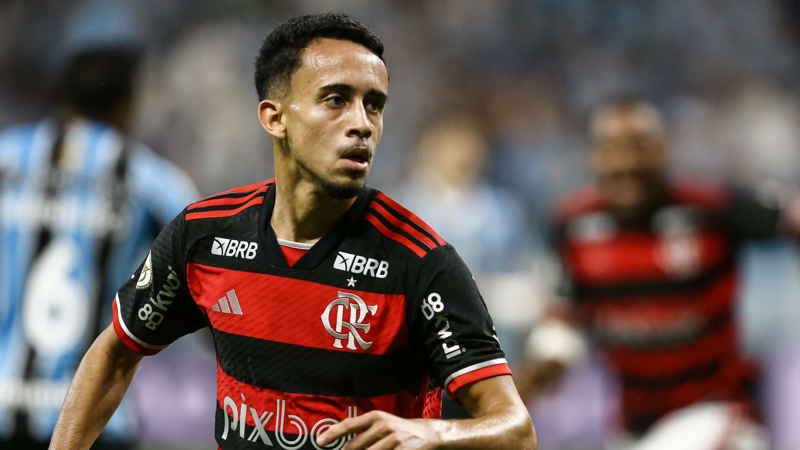 Gremio v Flamengo - Brasileirao 2024