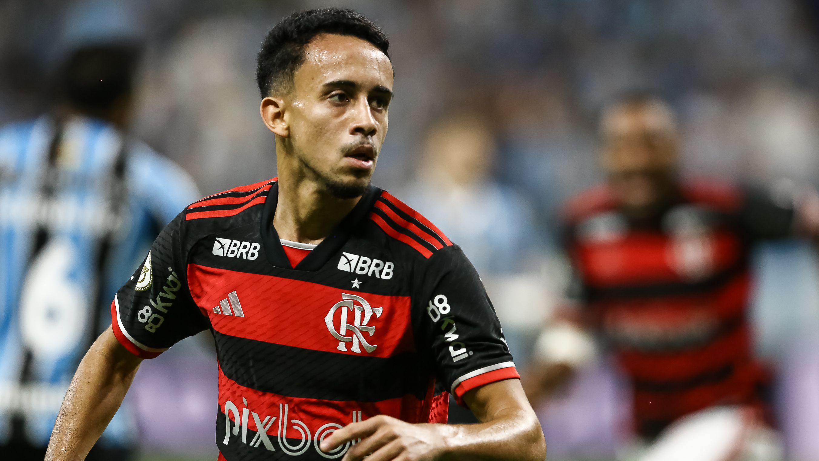 Gremio v Flamengo - Brasileirao 2024