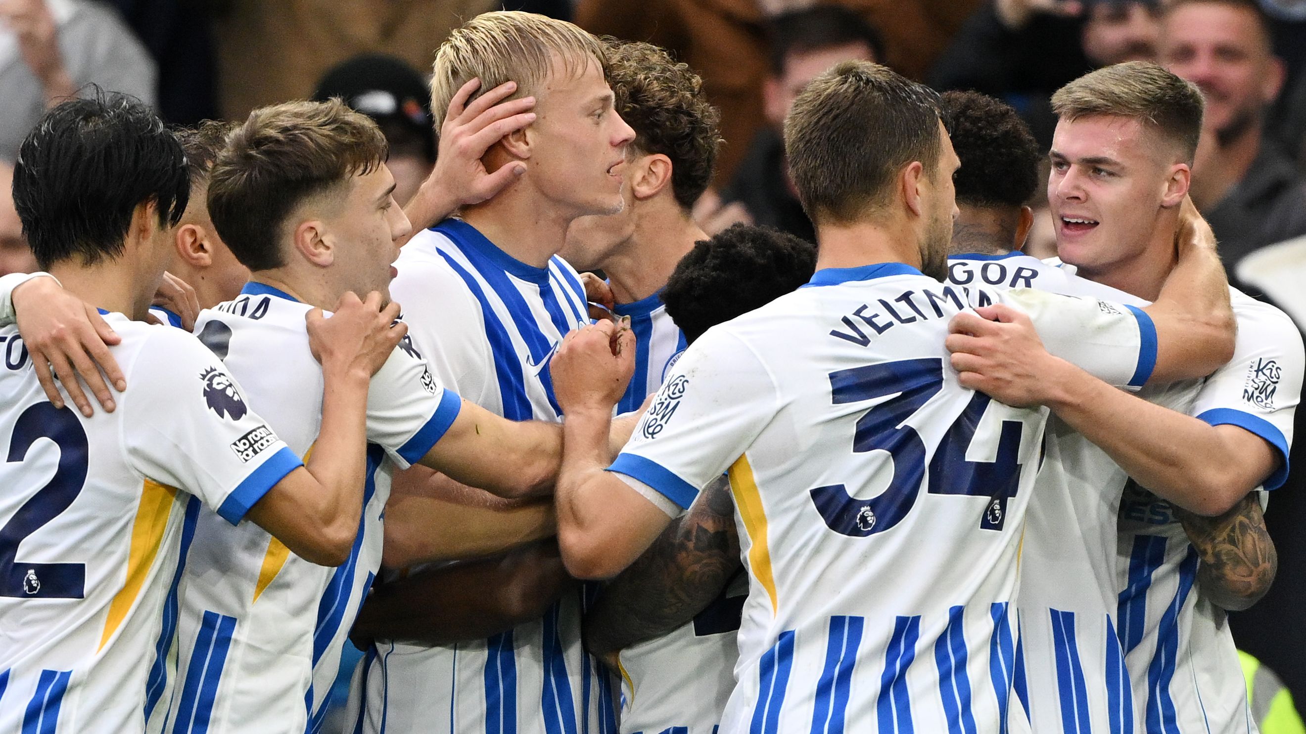 Brighton & Hove Albion FC v Wolverhampton Wanderers FC - Premier League