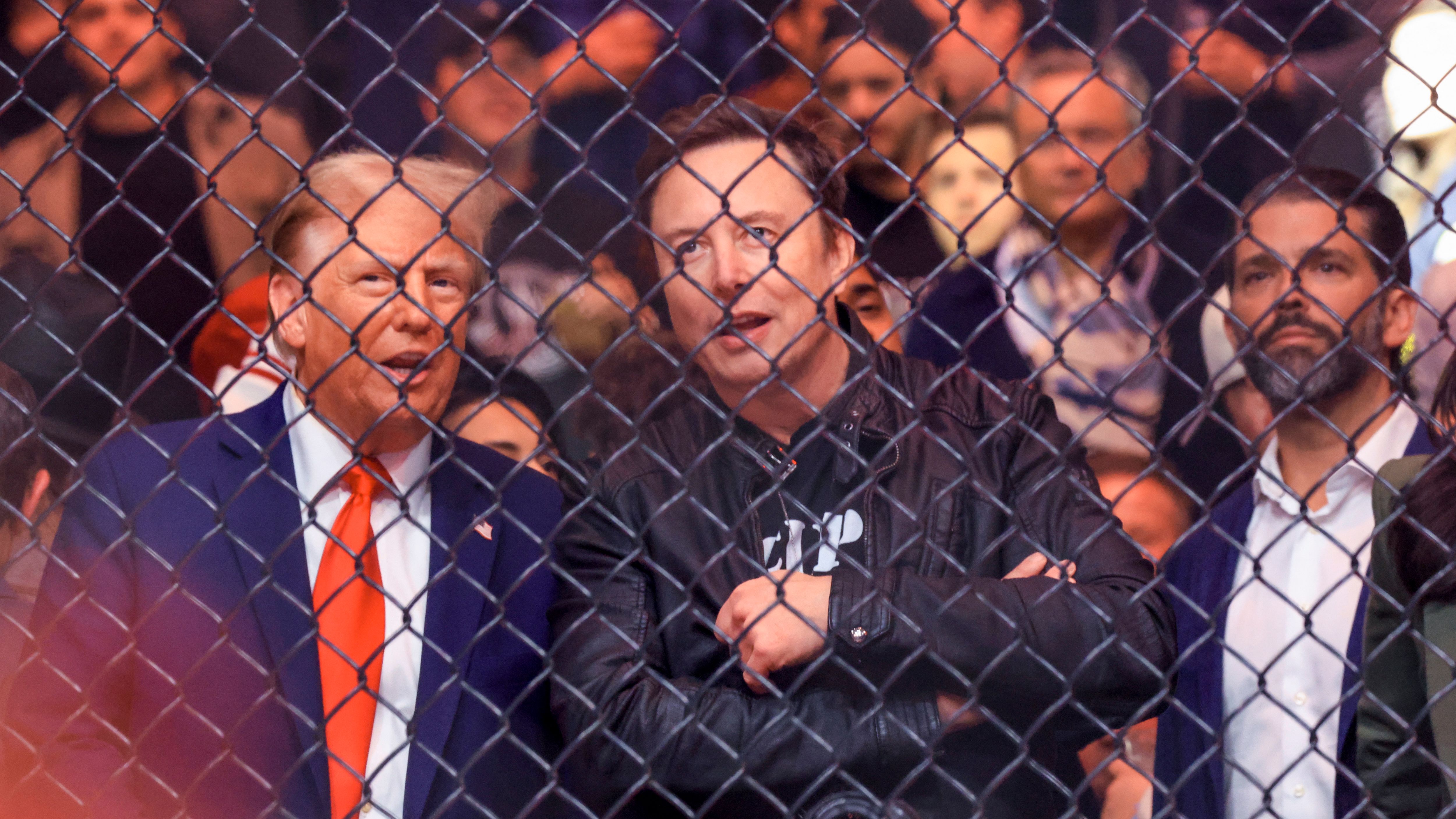 تدخل ترامب المباشر في اختيار مقاتلي UFC البيت الأبيض: حدث تاريخي بتكلفة هائلة