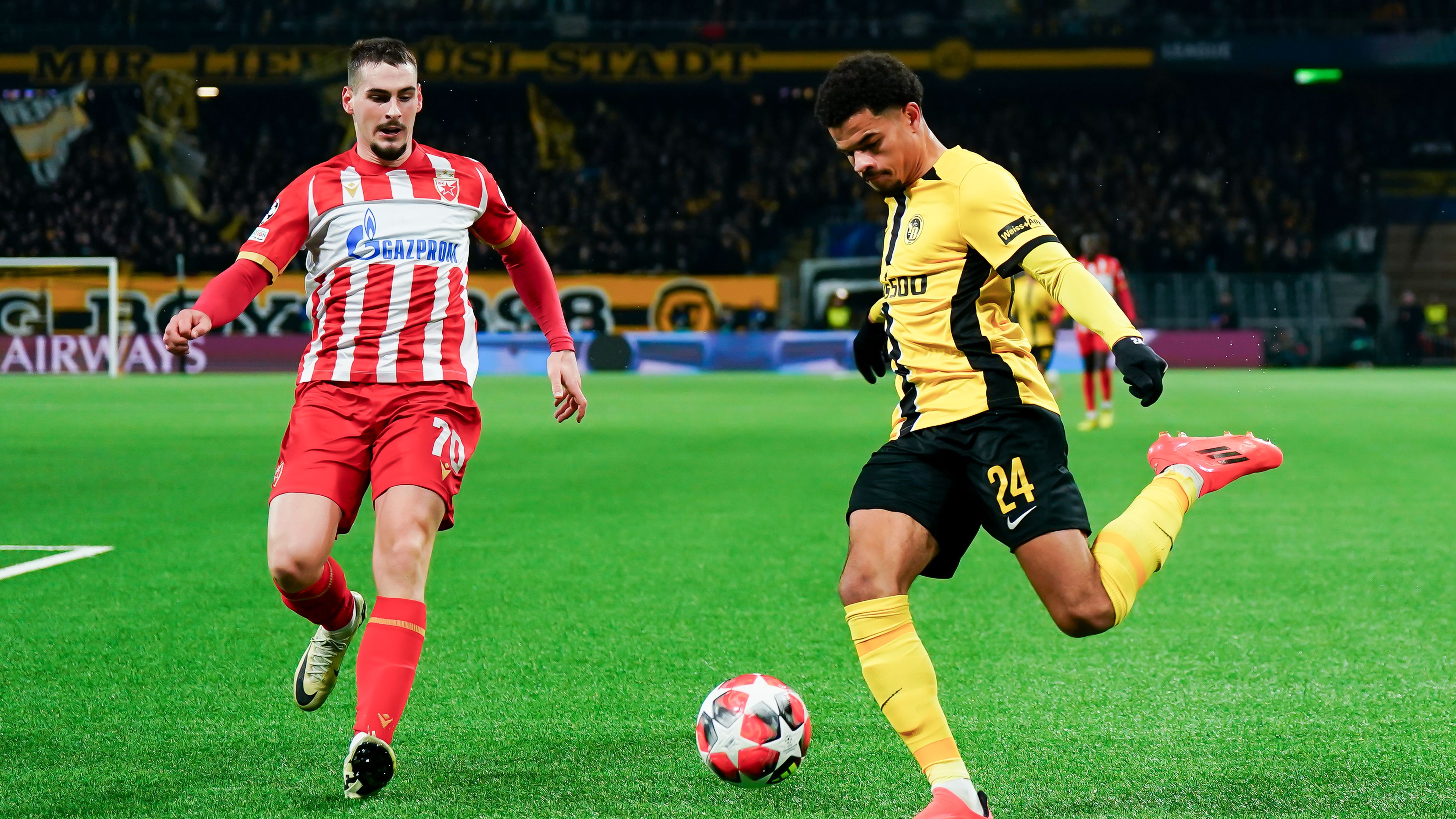 BSC Young Boys v FK Crvena Zvezda - UEFA Champions League 2024/25 League Phase MD8