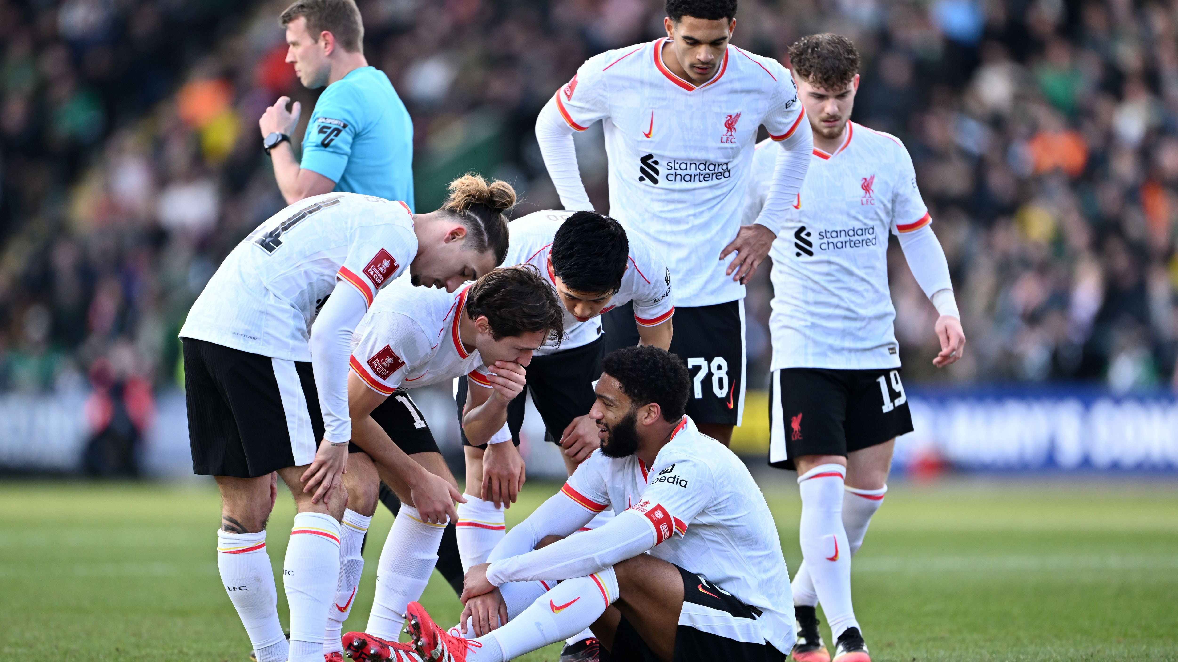 Plymouth Argyle v Liverpool - Emirates FA Cup Fourth Round
