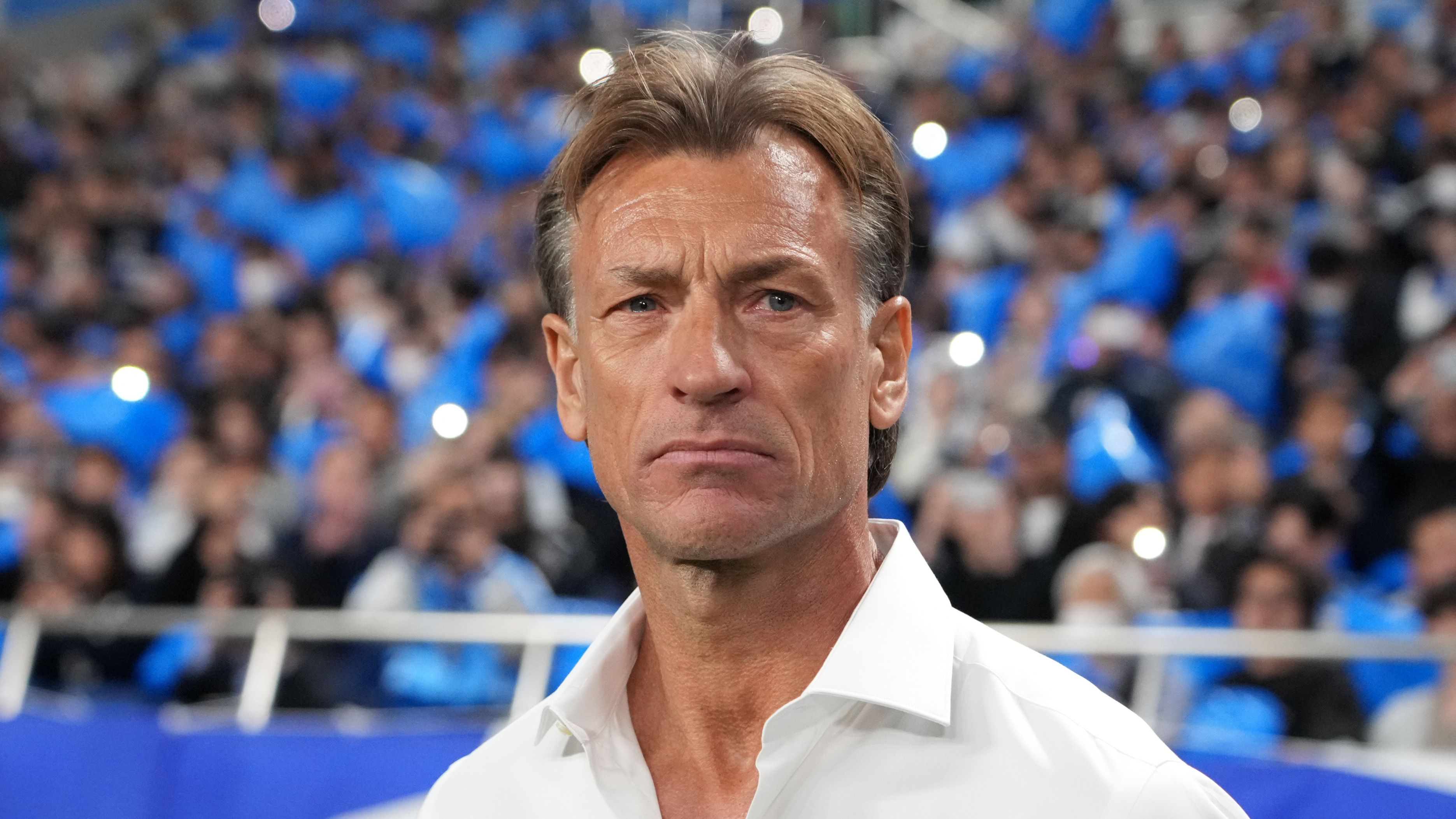 هيرفي رينارد