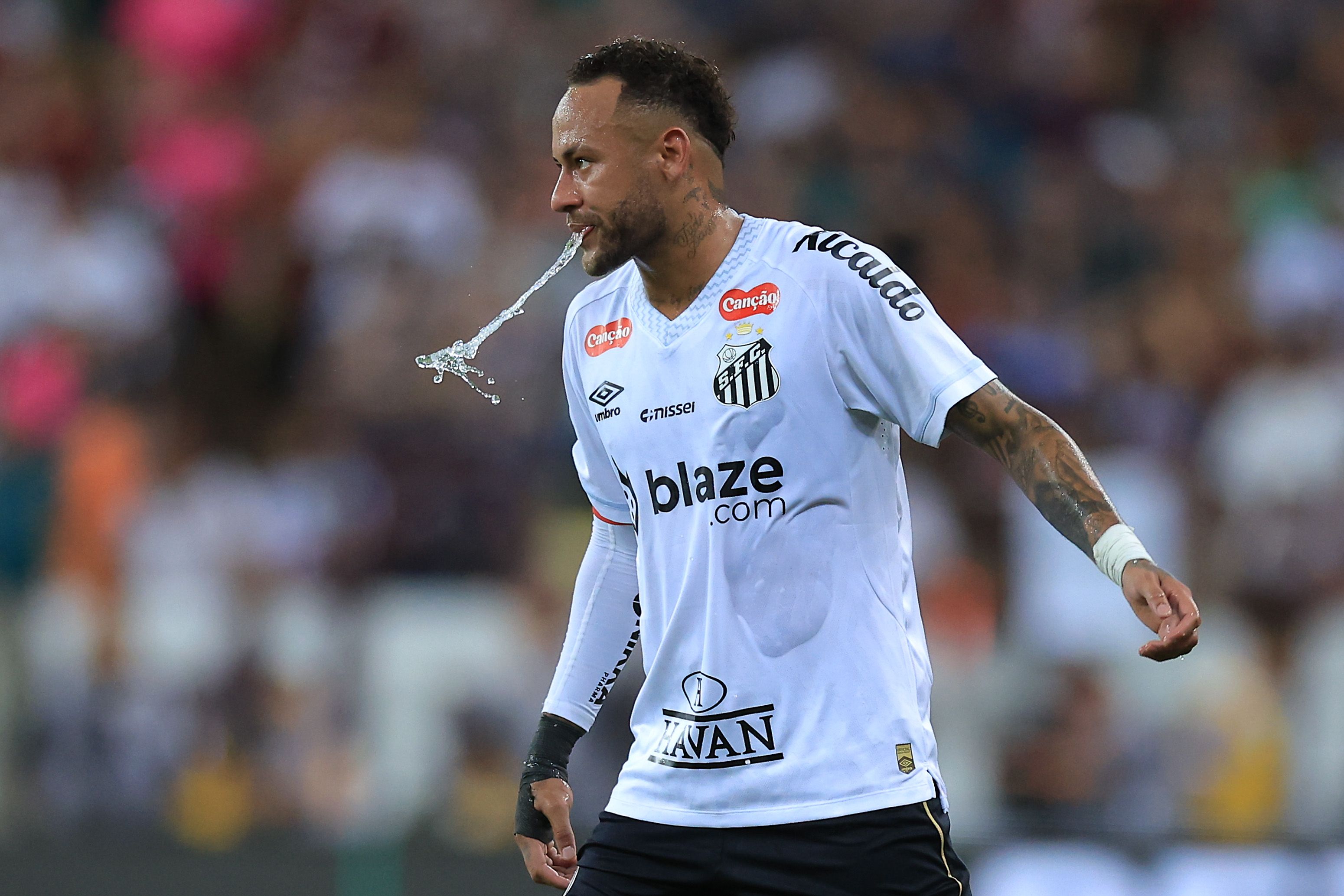 Fluminense v Santos - Brasileirao 2025