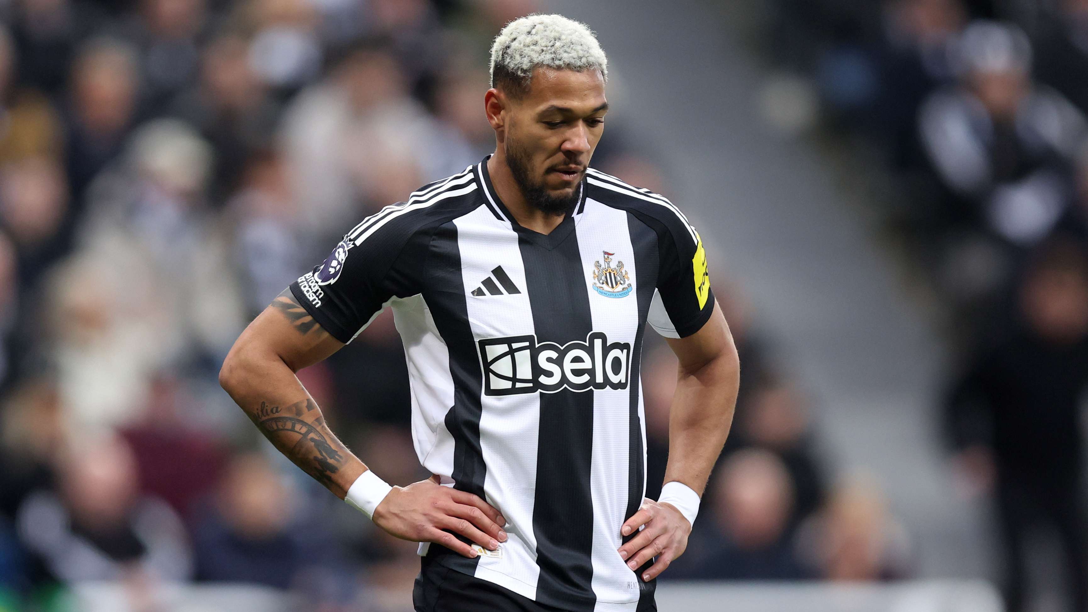 Newcastle United FC v Crystal Palace FC - Premier League