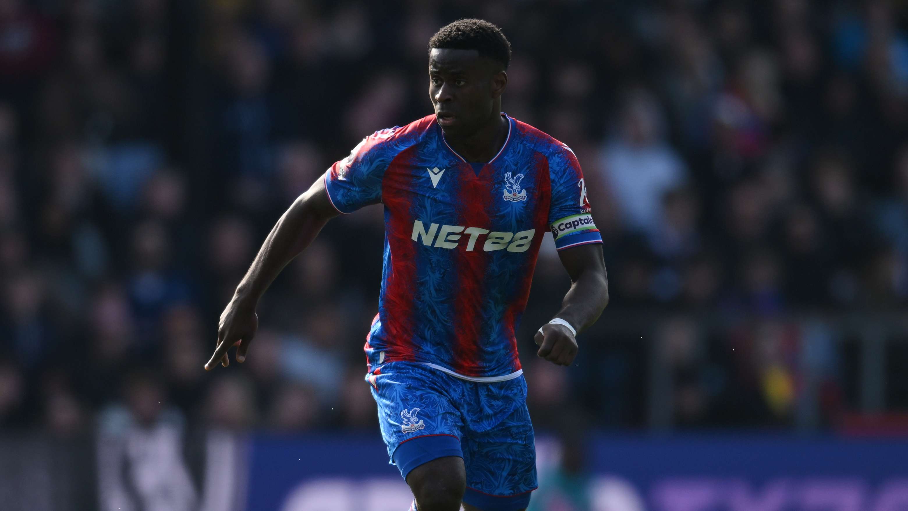 Crystal Palace FC v AFC Bournemouth - Premier League