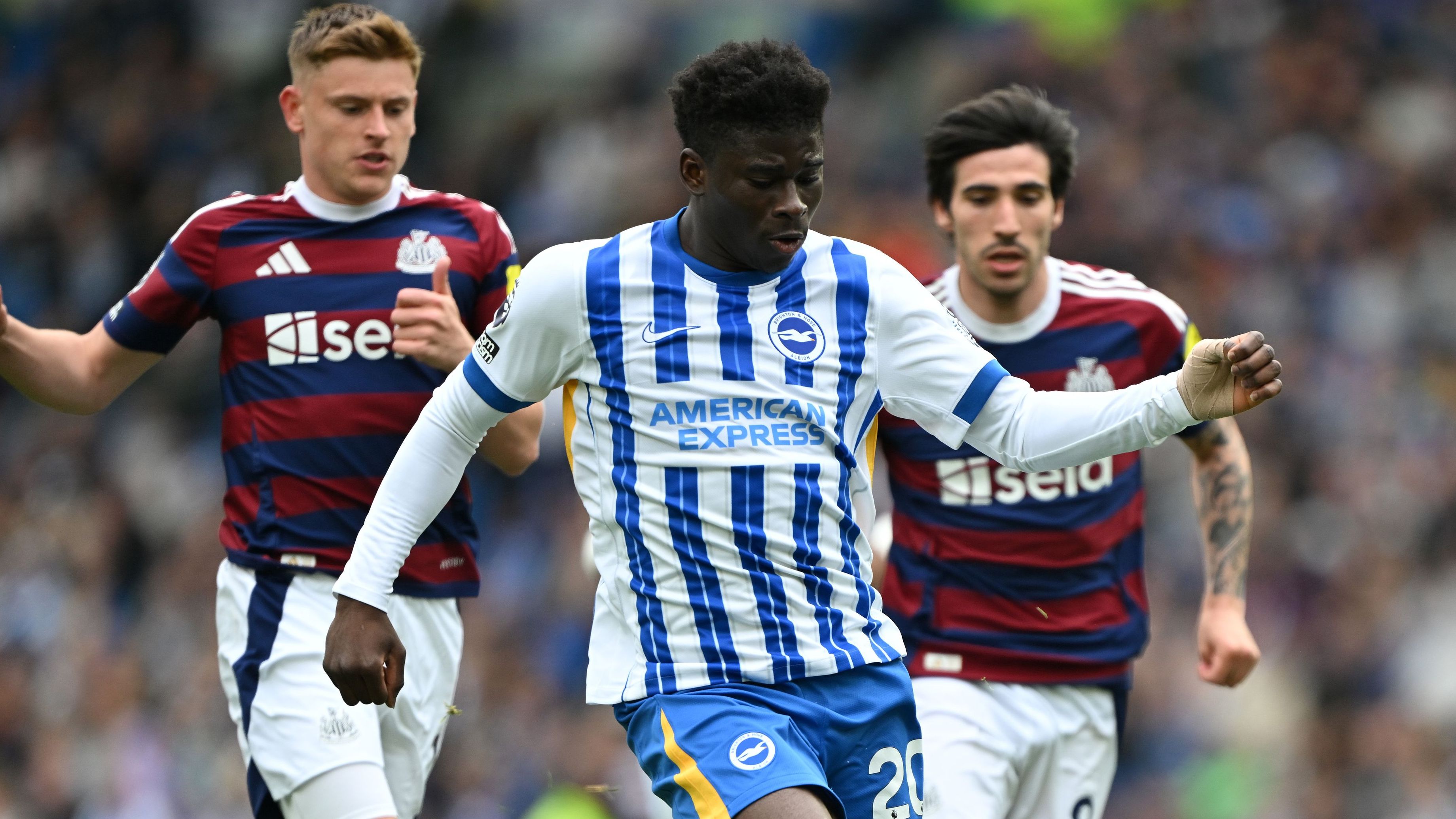Brighton & Hove Albion FC v Newcastle United FC - Premier League