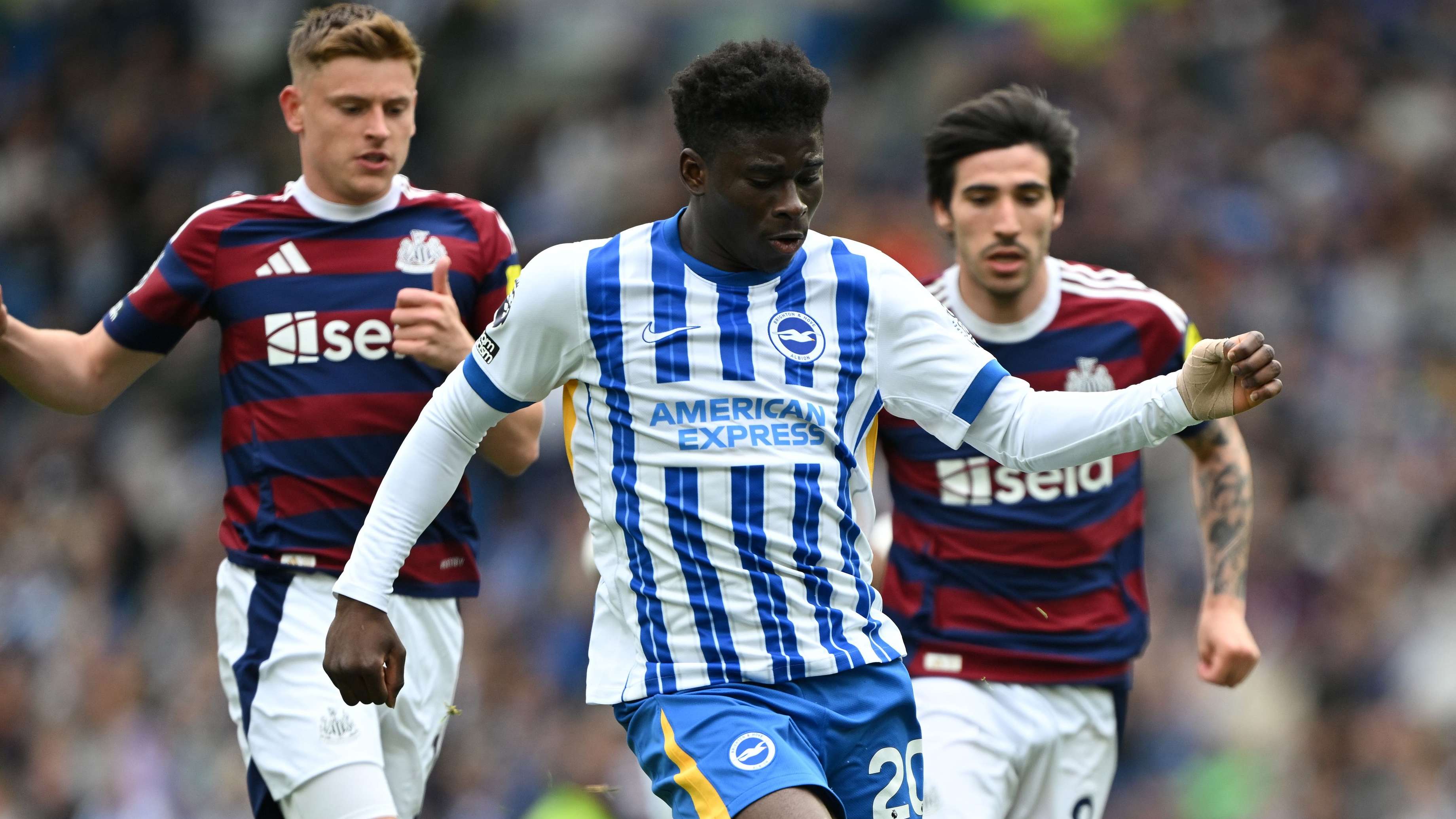 Brighton & Hove Albion FC v Newcastle United FC - Premier League