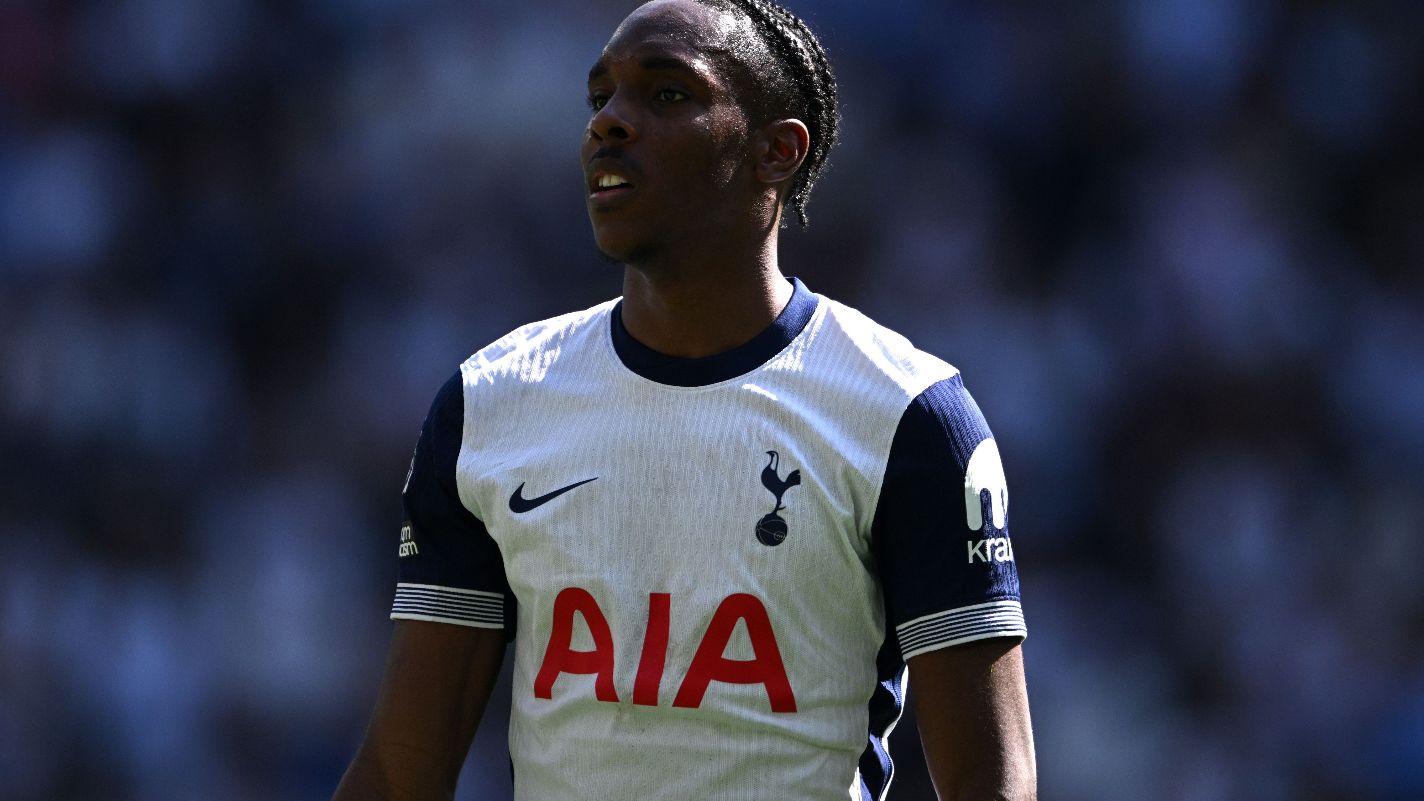 Tottenham Hotspur FC v Crystal Palace FC - Premier League