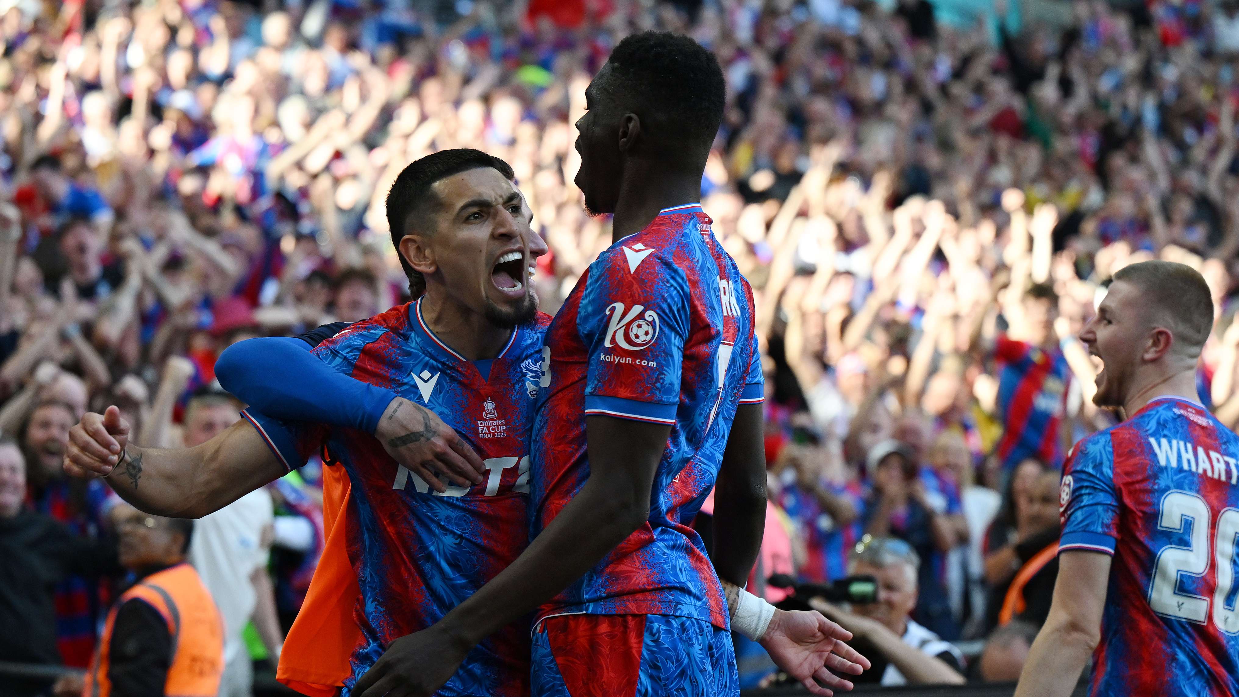 Crystal Palace v Manchester City - Emirates FA Cup Final