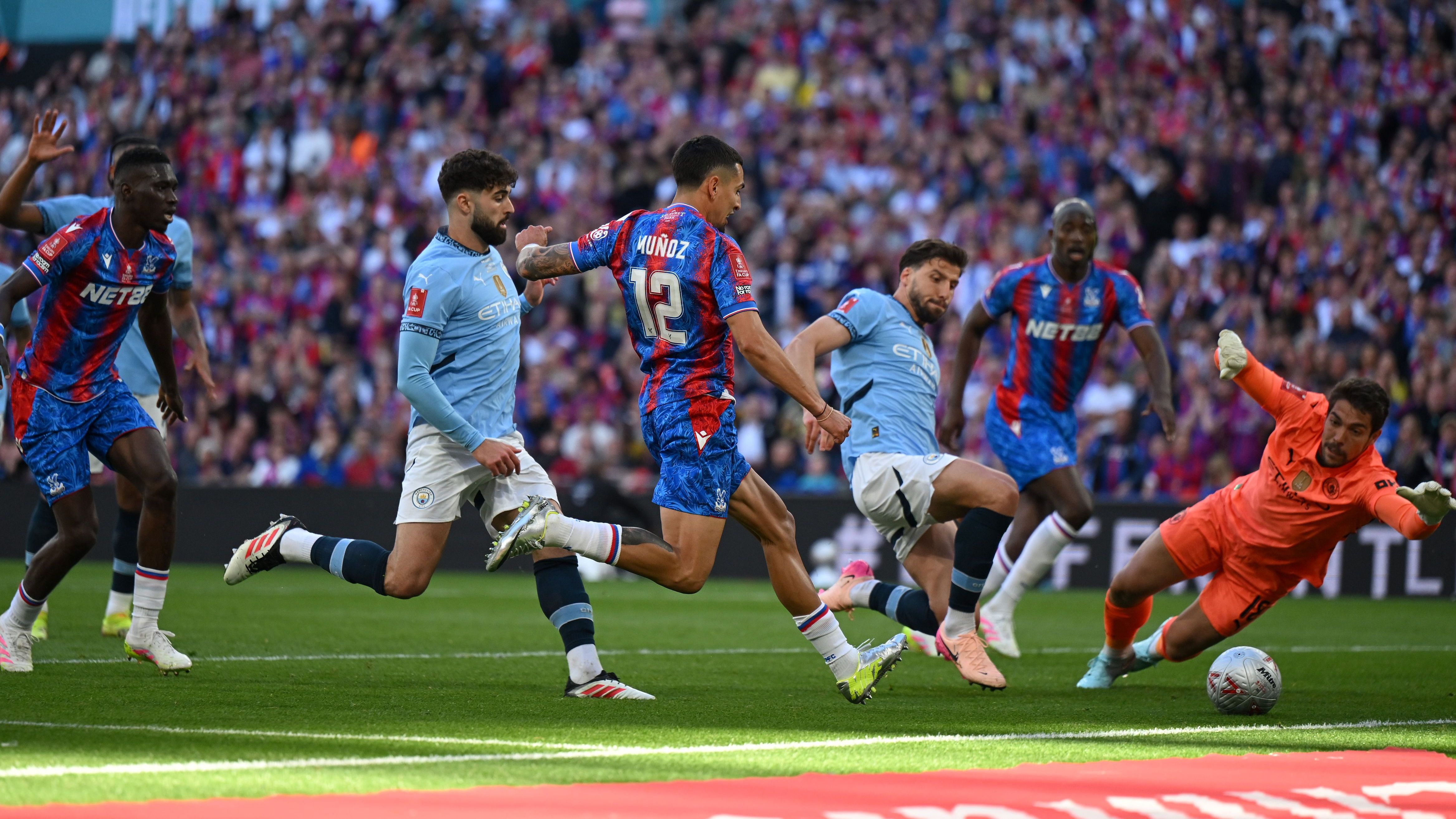 Crystal Palace v Manchester City - Emirates FA Cup Final