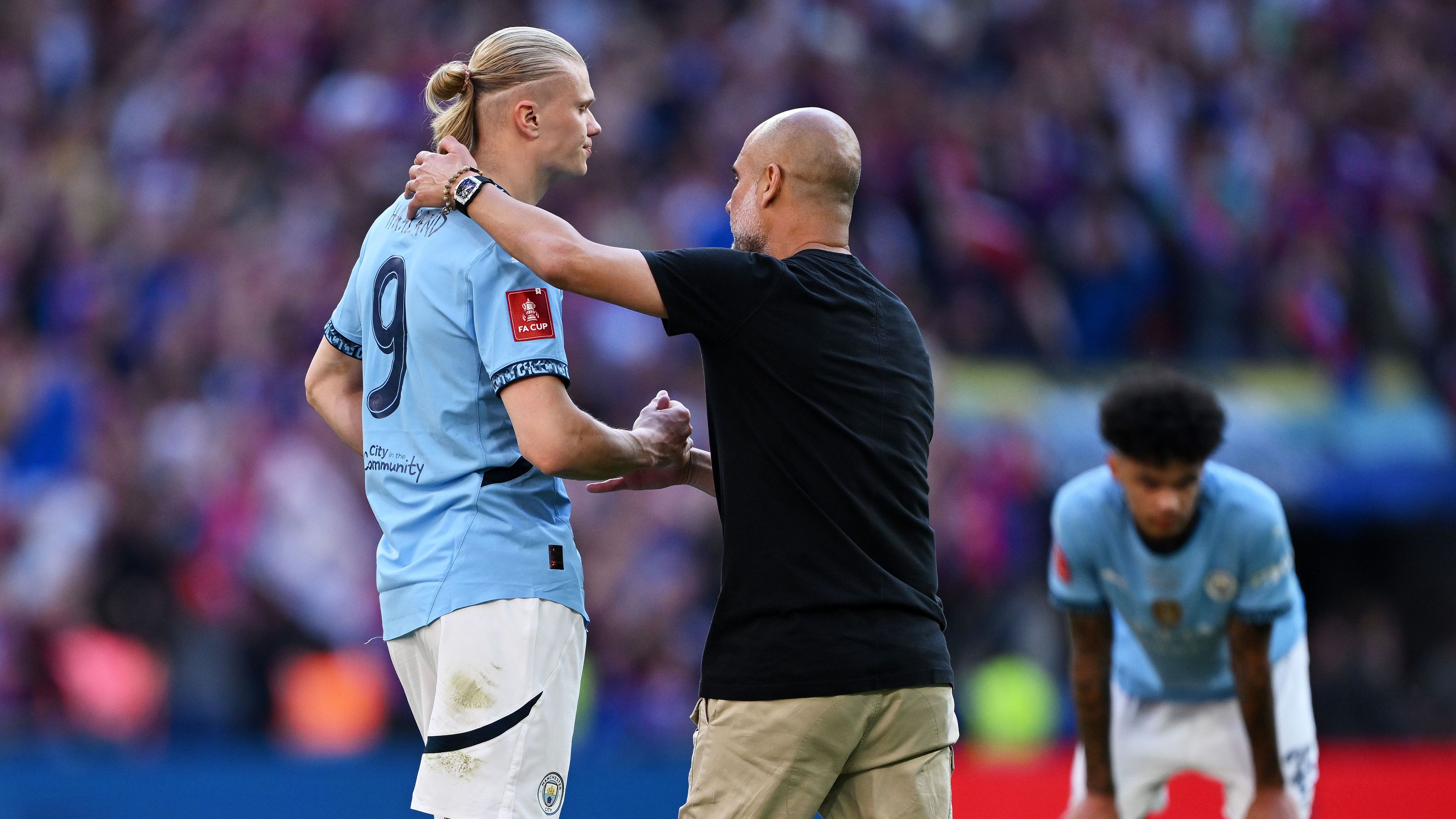 Crystal Palace v Manchester City - Emirates FA Cup Final