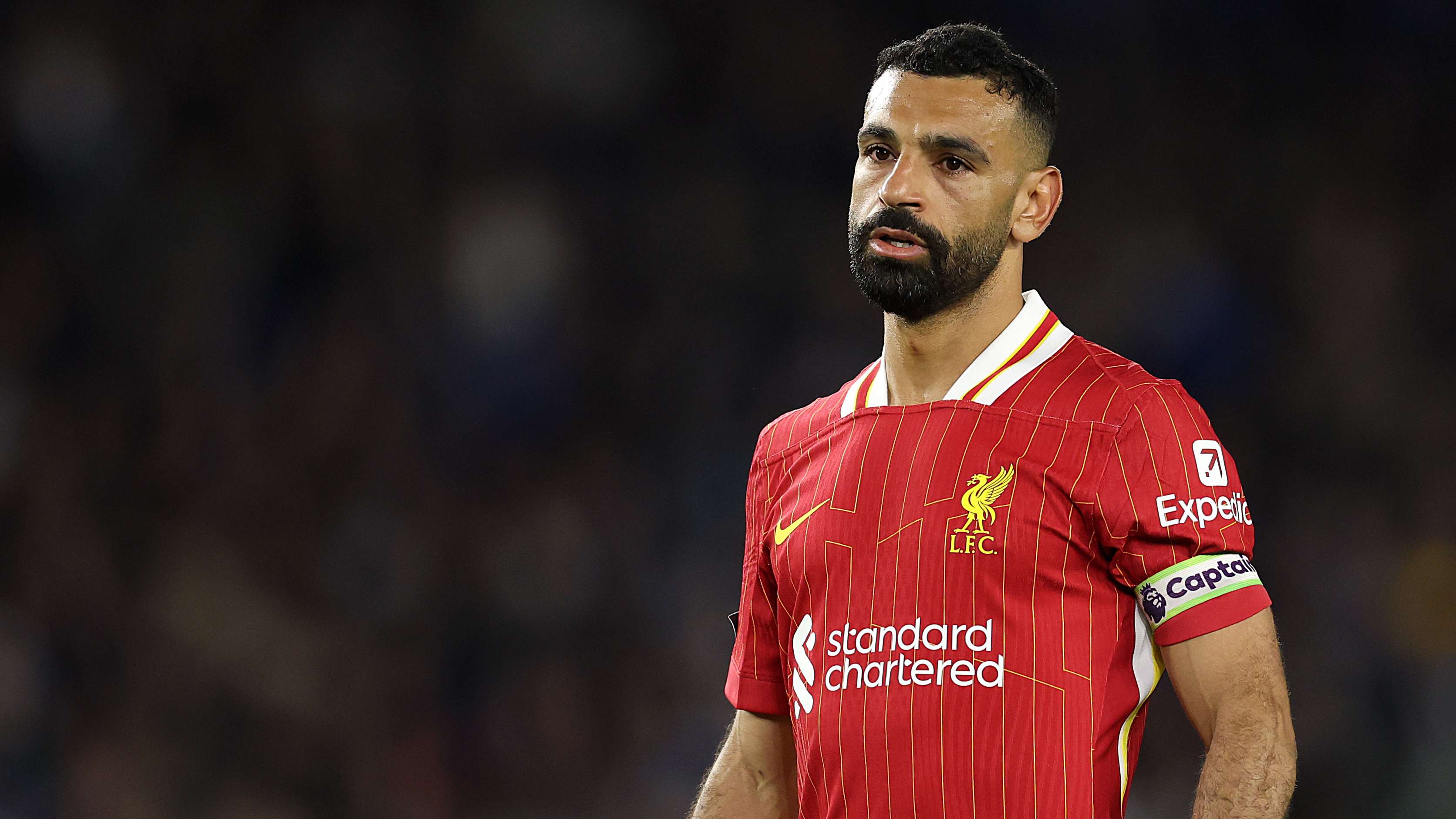 Brighton & Hove Albion FC v Liverpool FC - Premier League