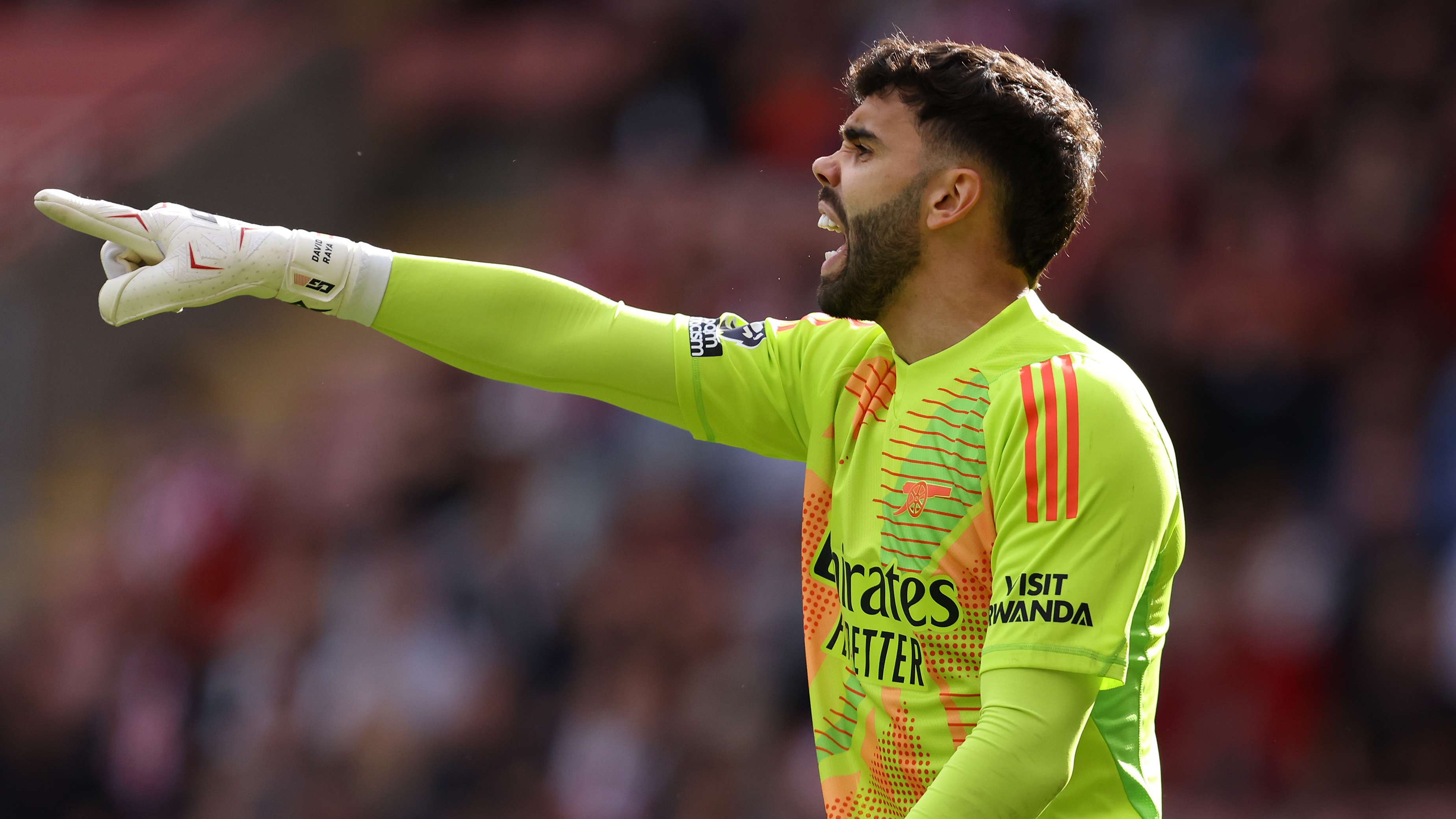 Southampton FC v Arsenal FC - Premier League