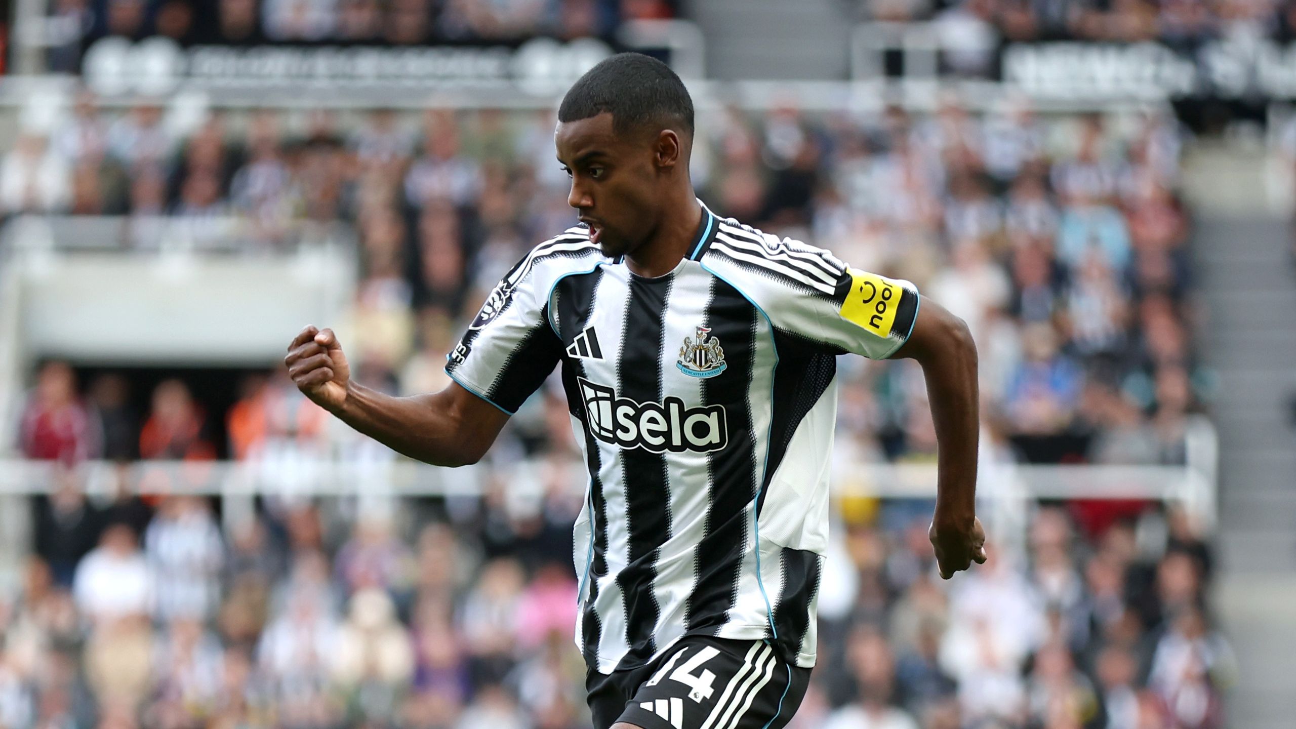 Newcastle United FC v Everton FC - Premier League