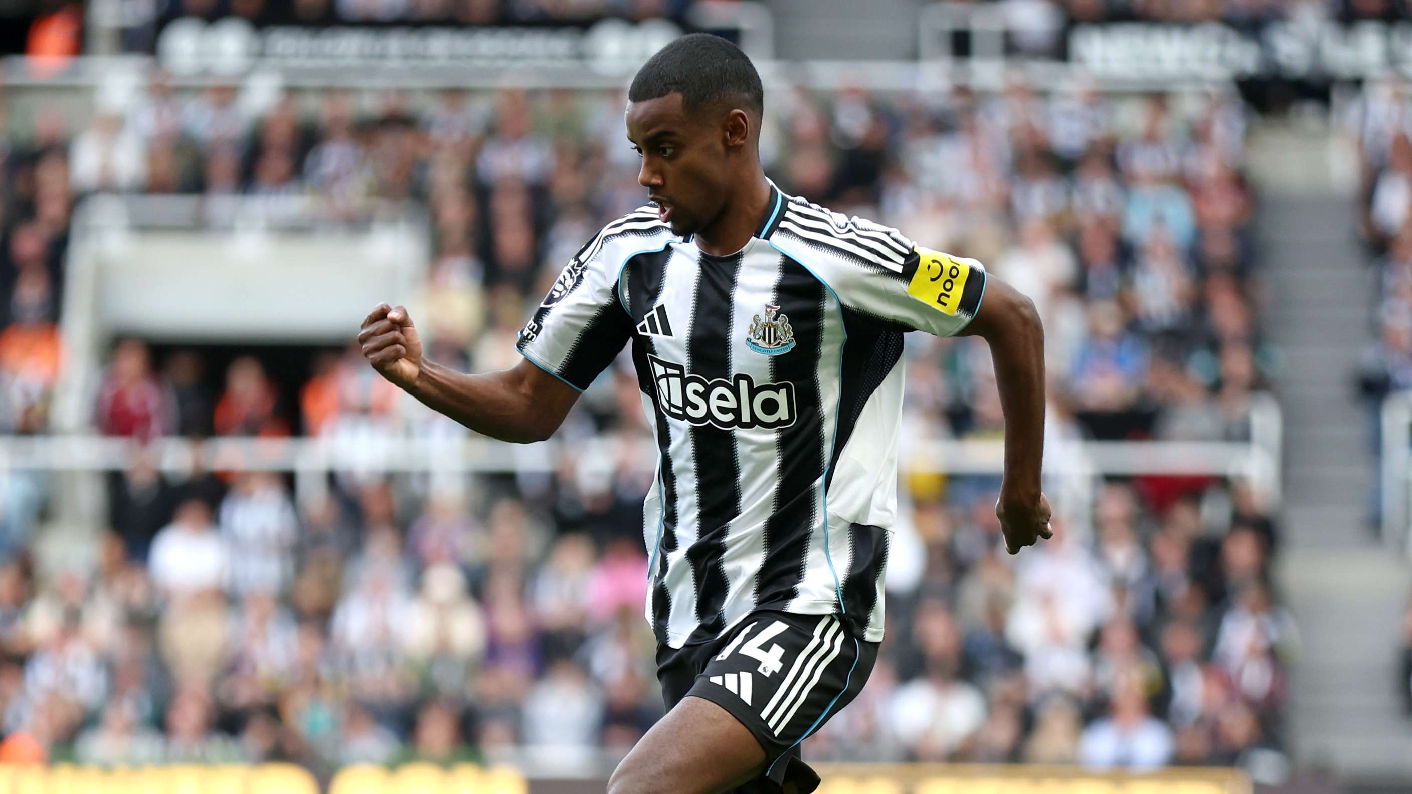 Newcastle United FC v Everton FC - Premier League