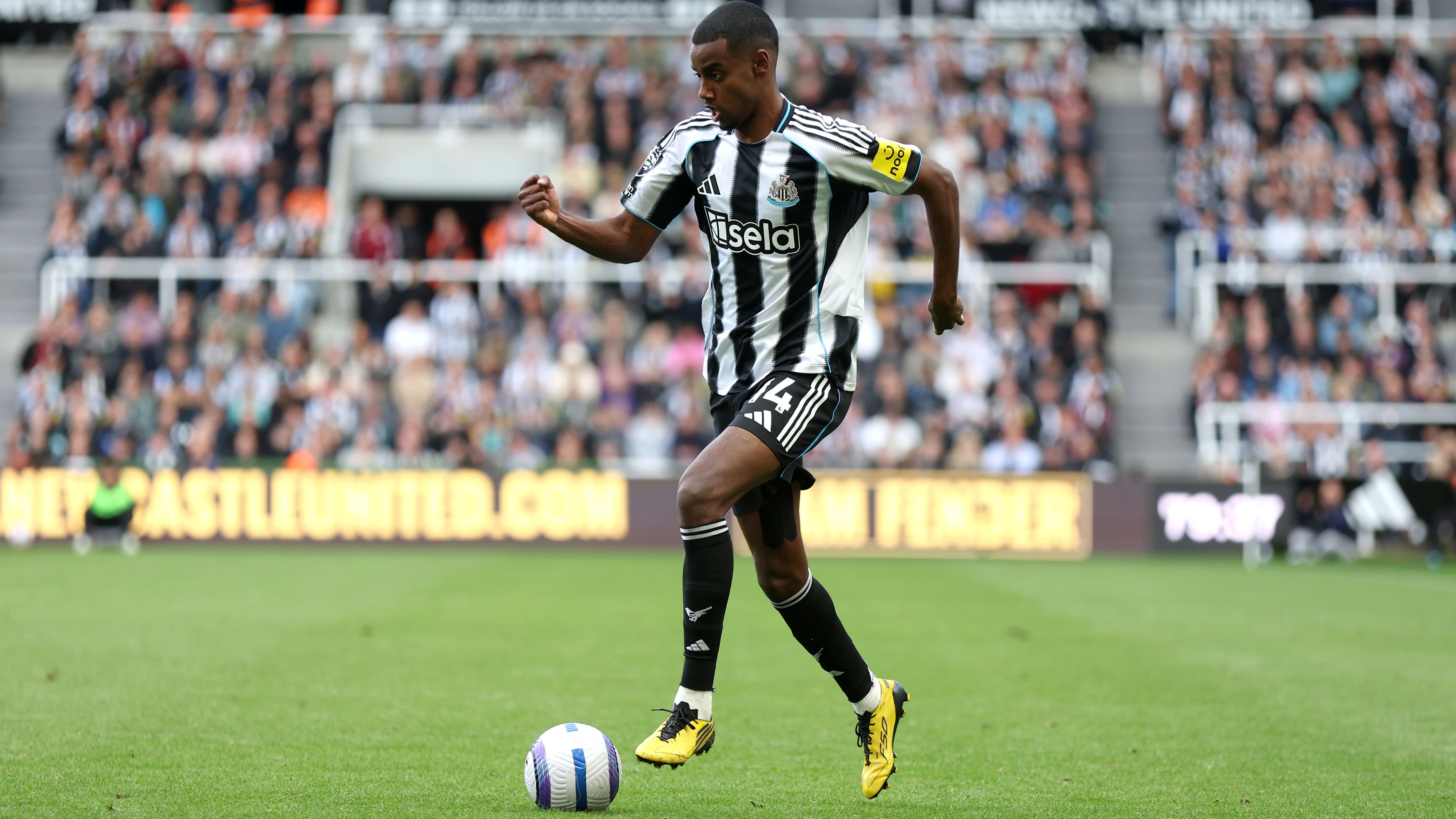 Newcastle United FC v Everton FC - Premier League