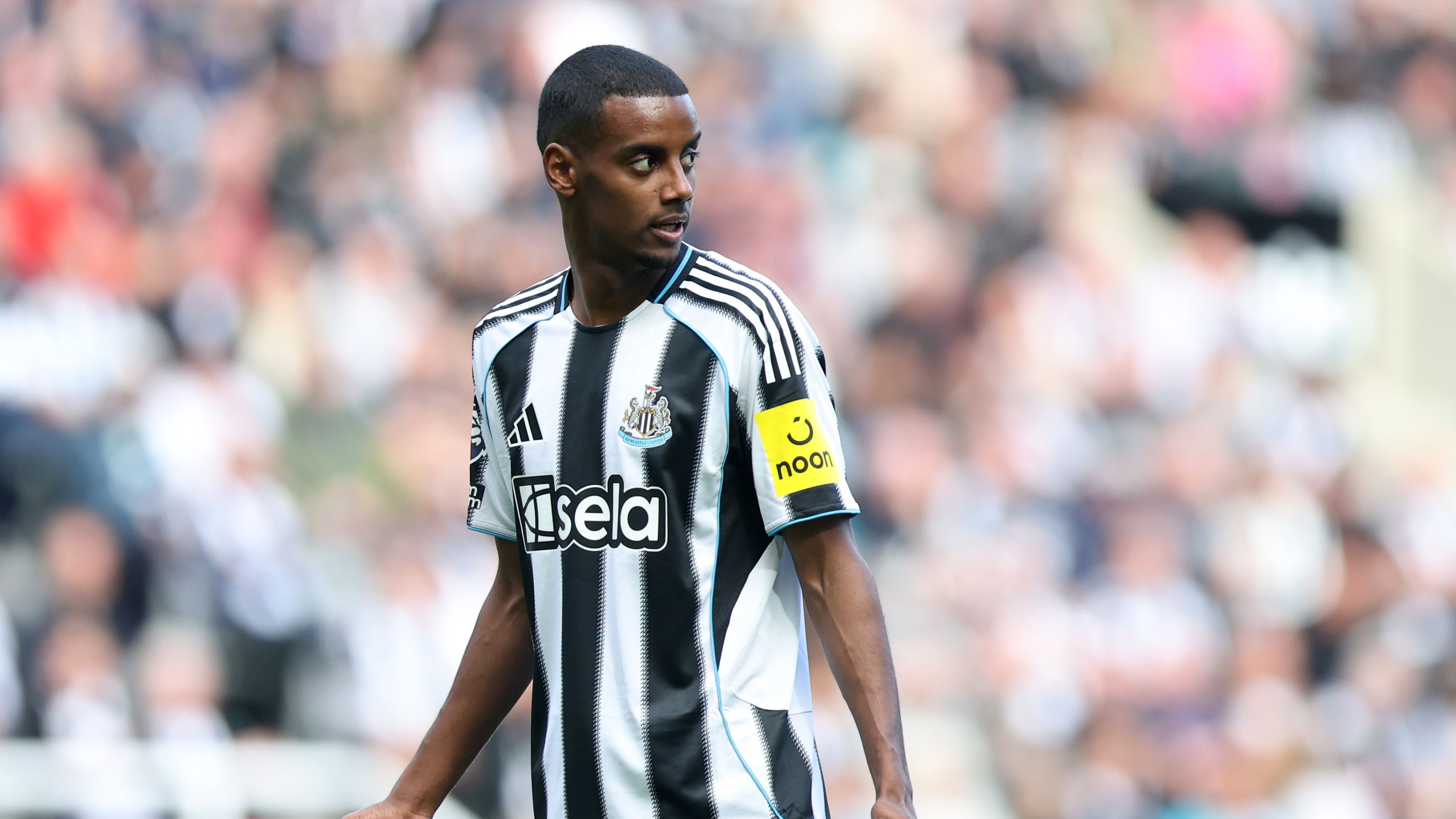 Newcastle United FC v Everton FC - Premier League