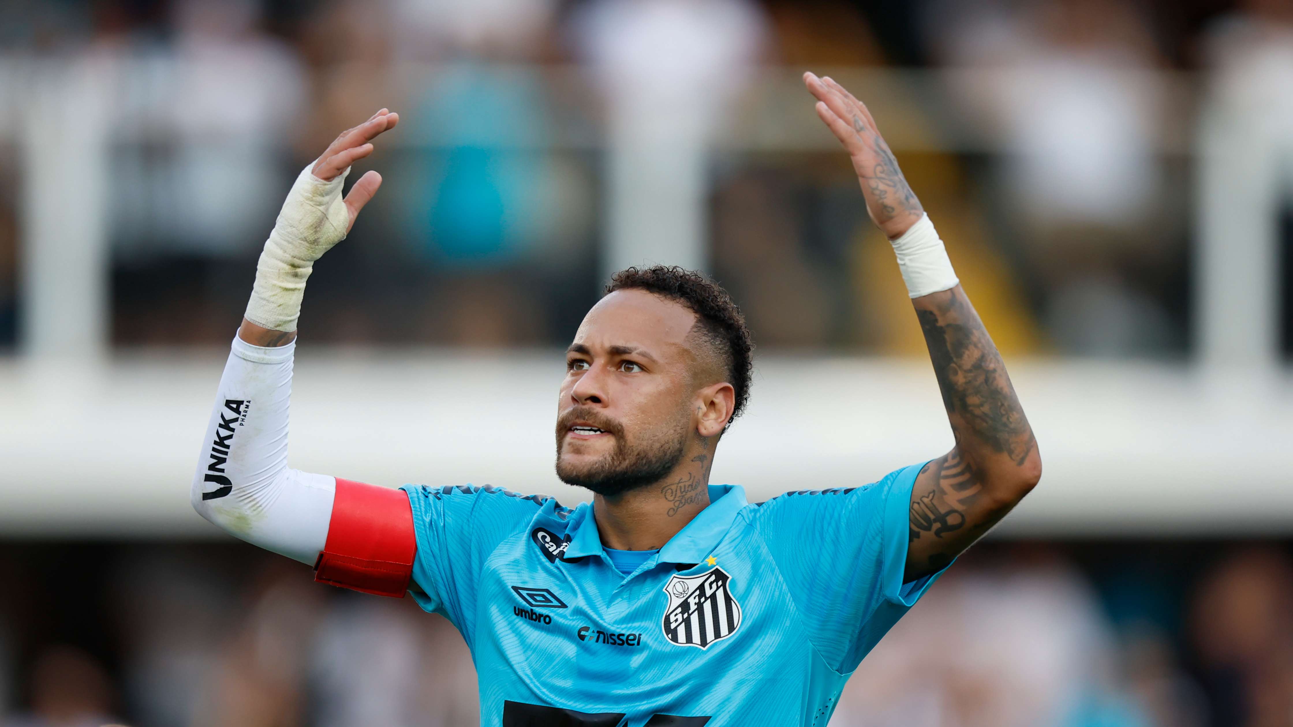 Santos v Botafogo - Brasileirao 2025