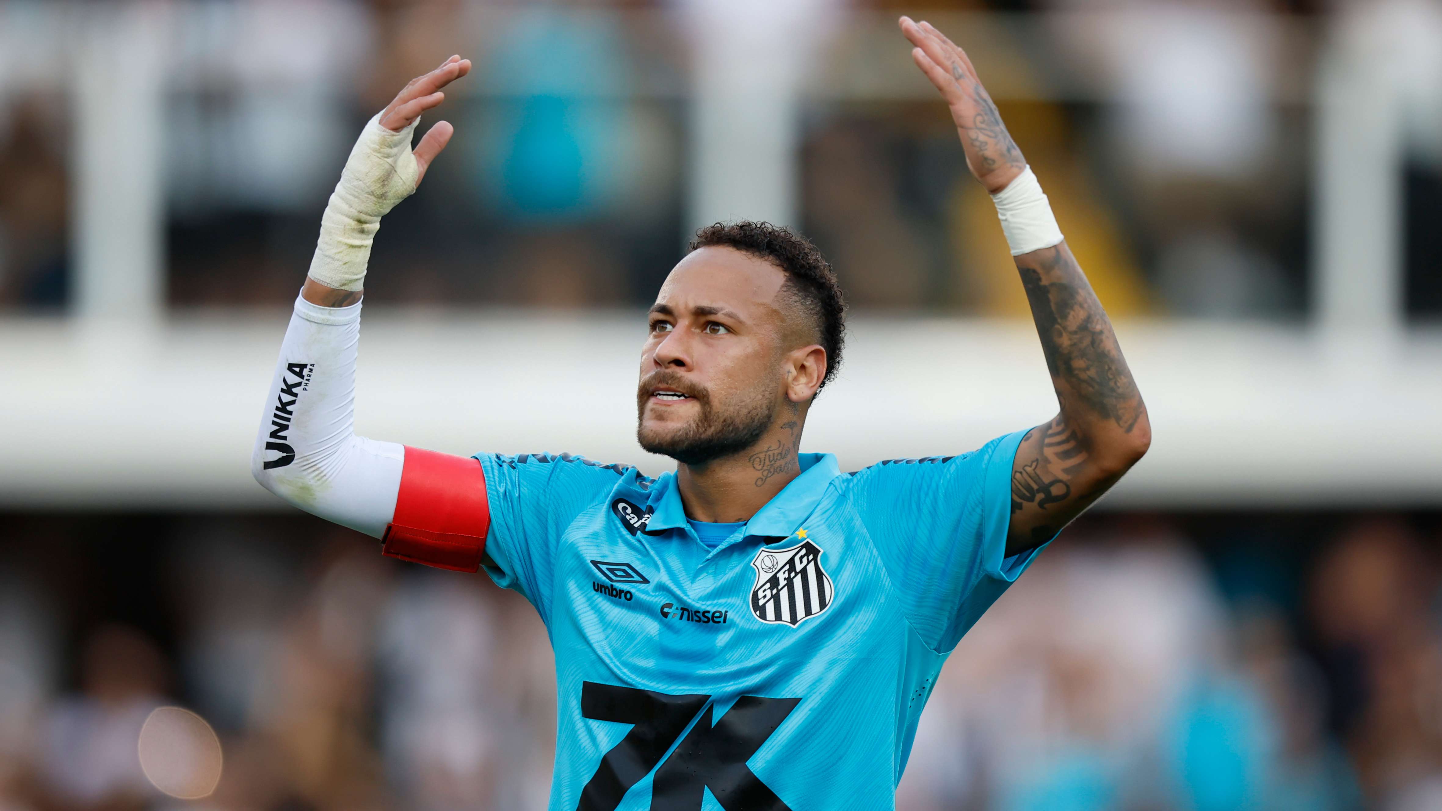 Santos v Botafogo - Brasileirao 2025