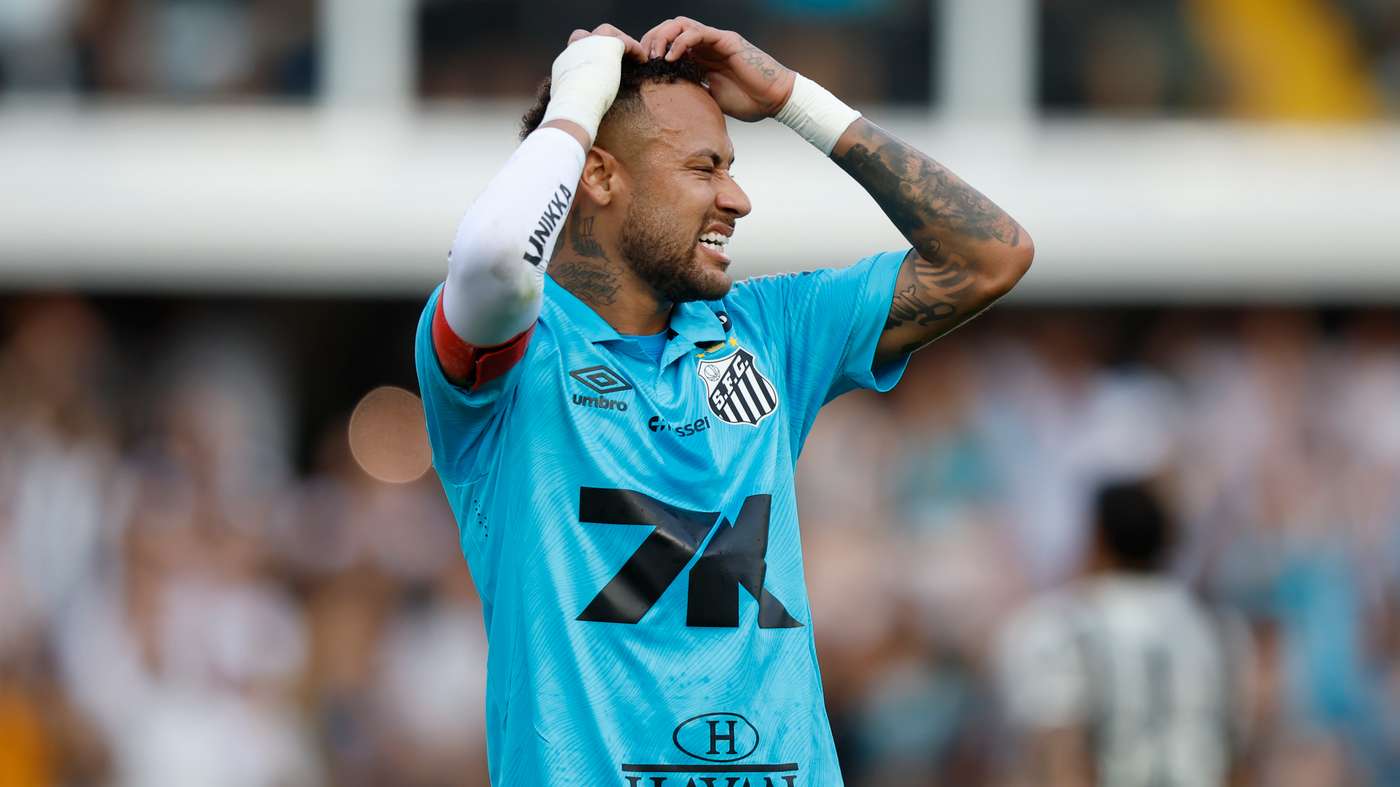 Santos v Botafogo - Brasileirao 2025