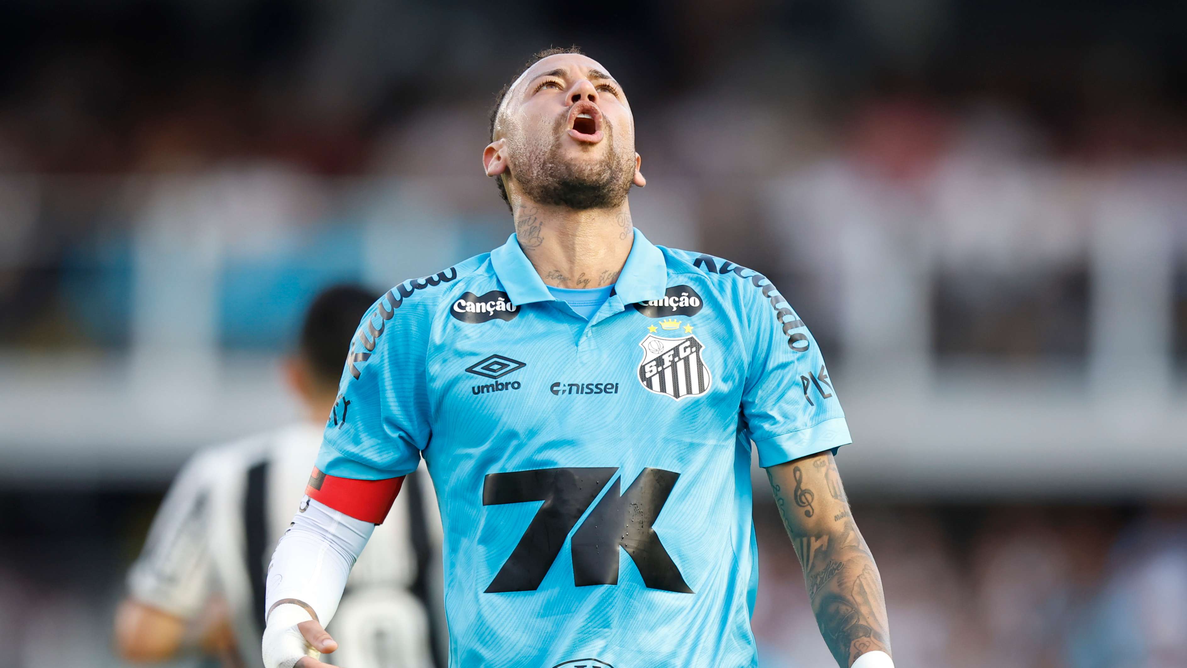 Santos v Botafogo - Brasileirao 2025