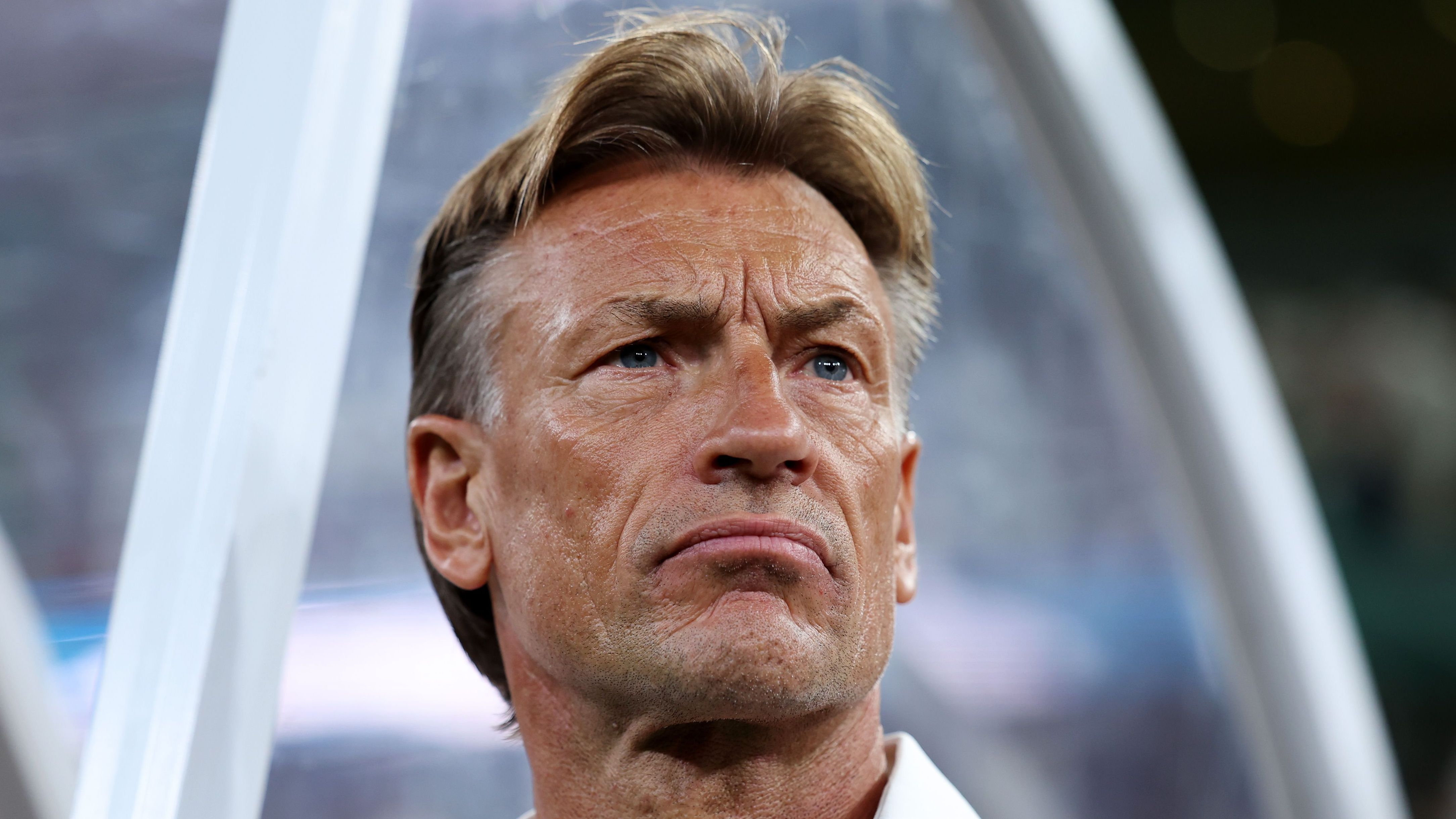 أول تعليق من رينارد على تولي تدريب منتخب تونس