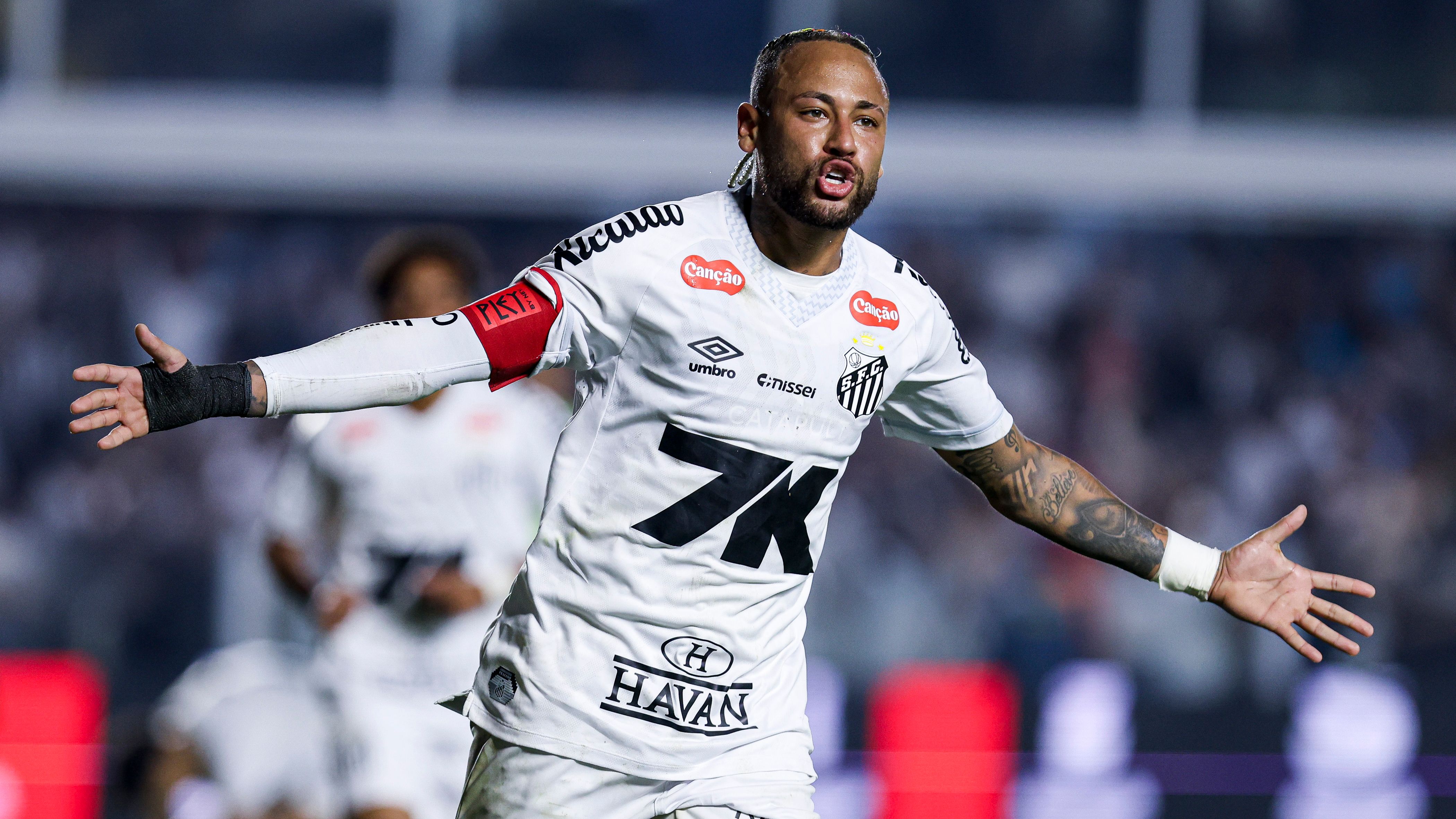 Santos v Flamengo - Brasileirao 2025