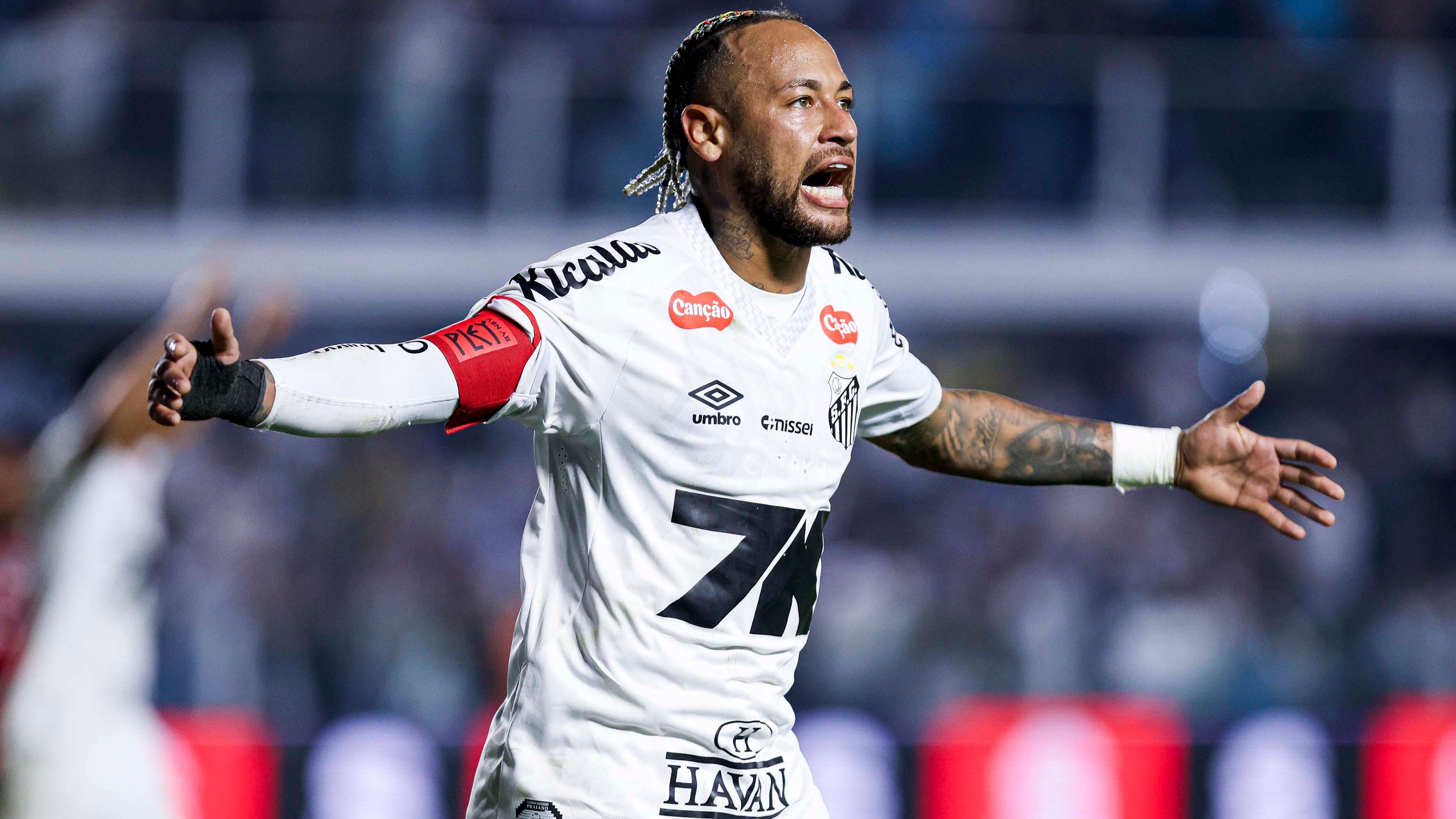 Santos v Flamengo - Brasileirao 2025