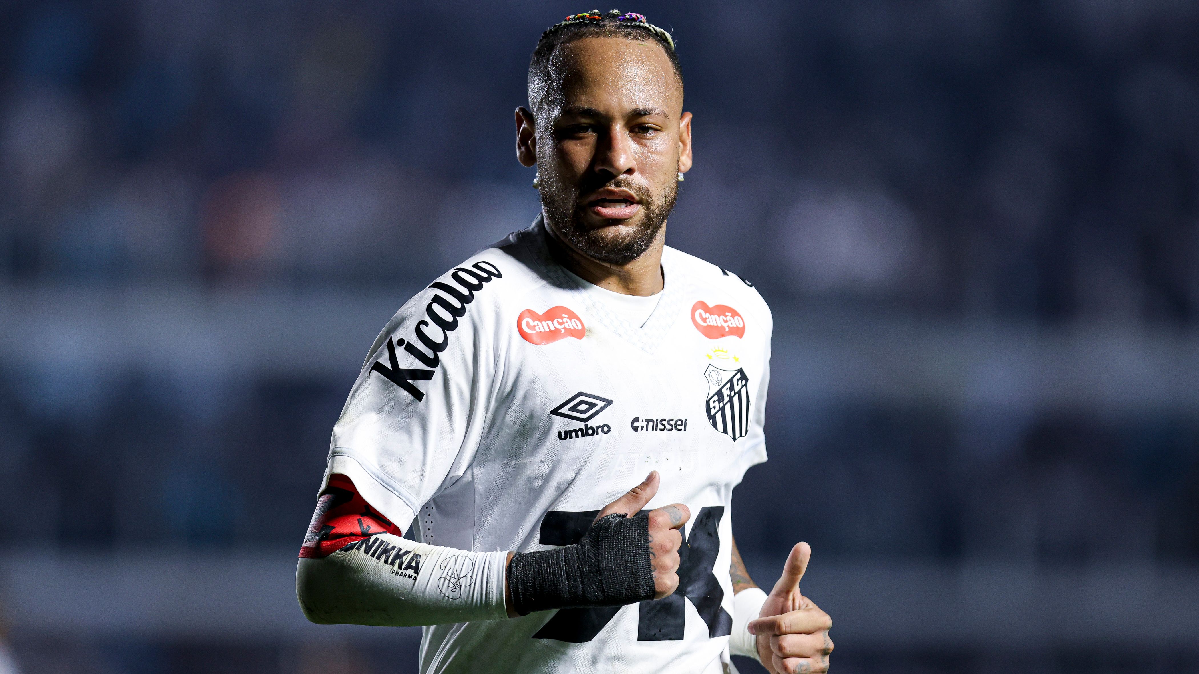 Santos v Flamengo - Brasileirao 2025