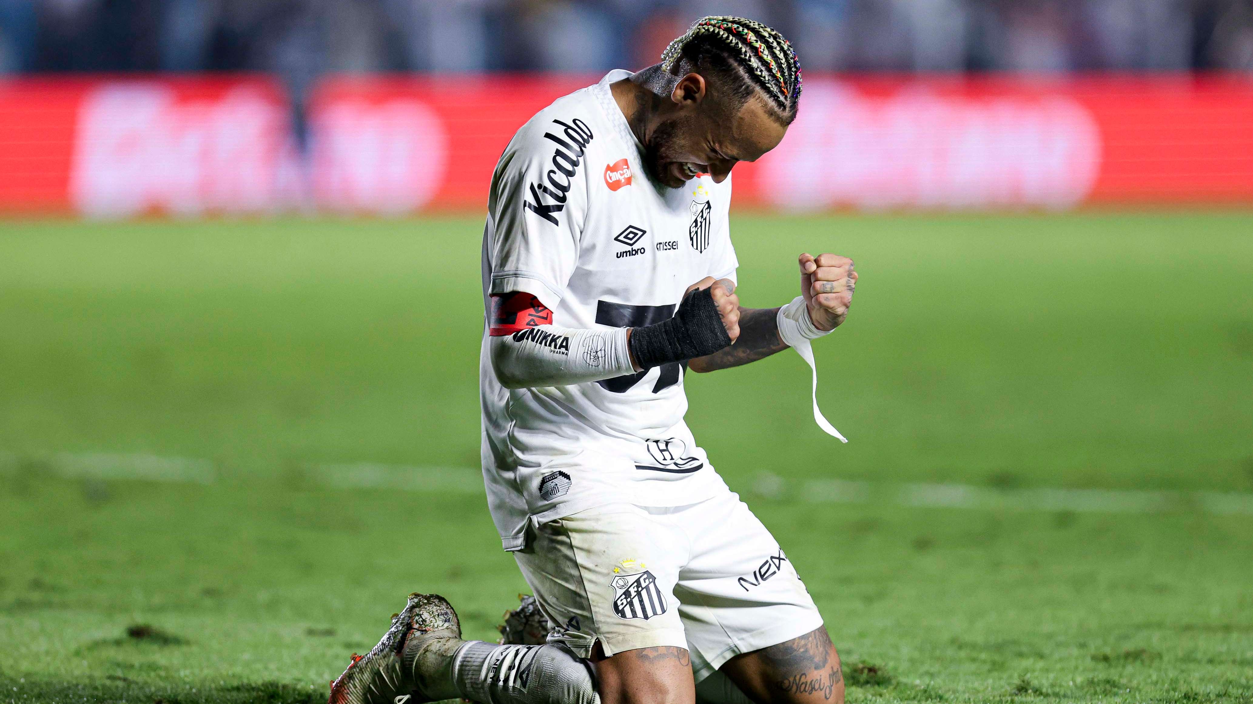 Santos v Flamengo - Brasileirao 2025