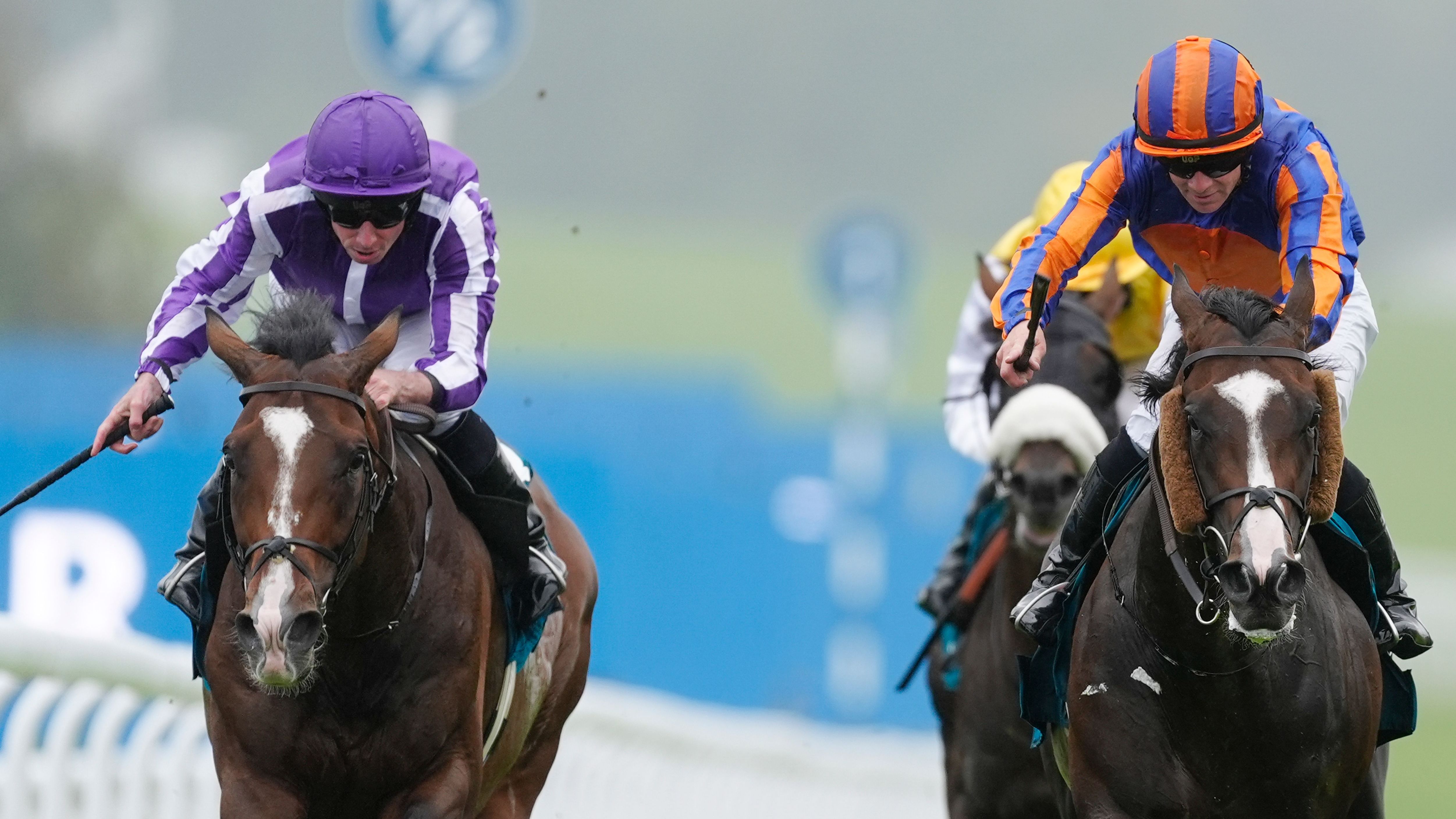 Goodwood Races
