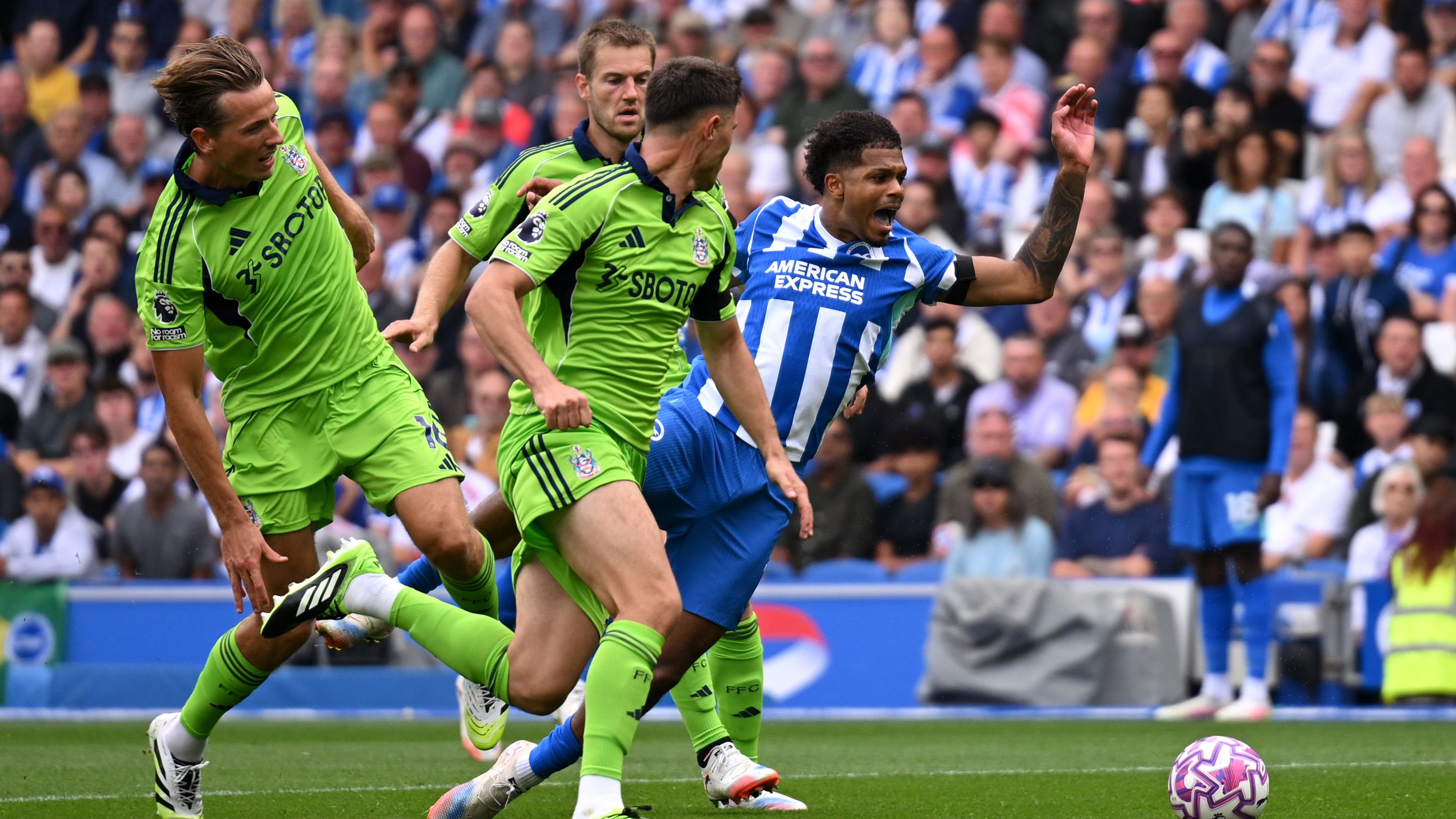 Brighton & Hove Albion v Fulham - Premier League
