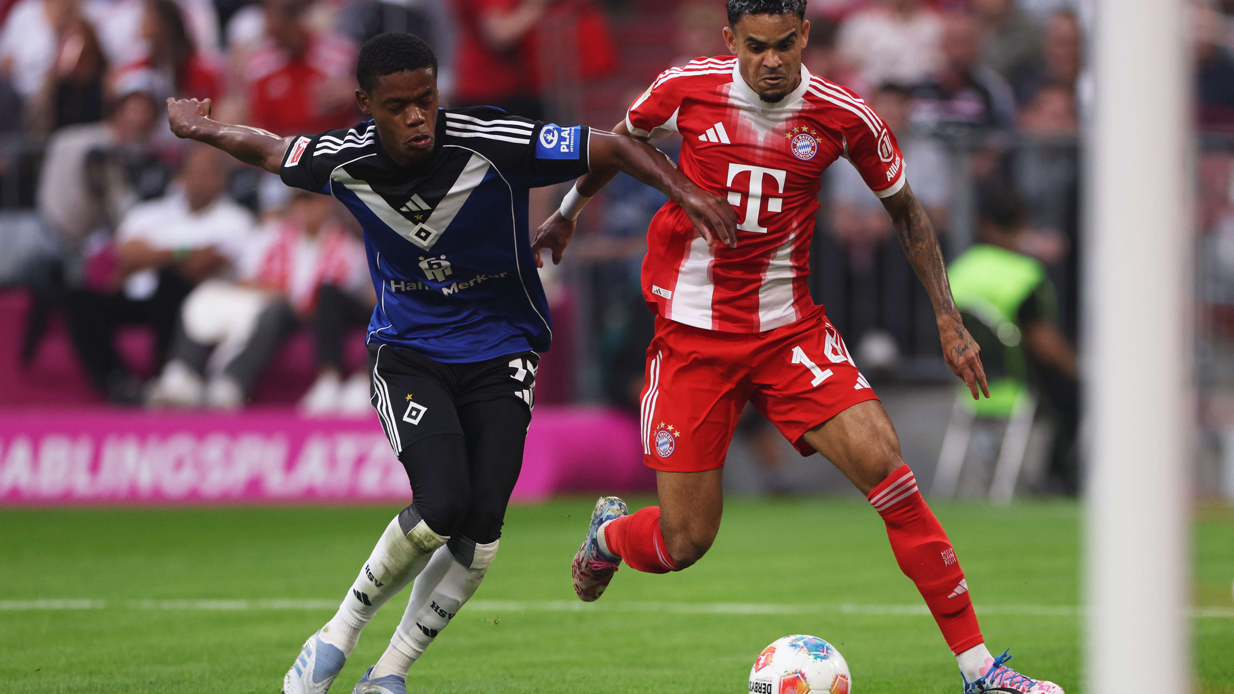 FC Bayern München v Hamburger SV - Bundesliga